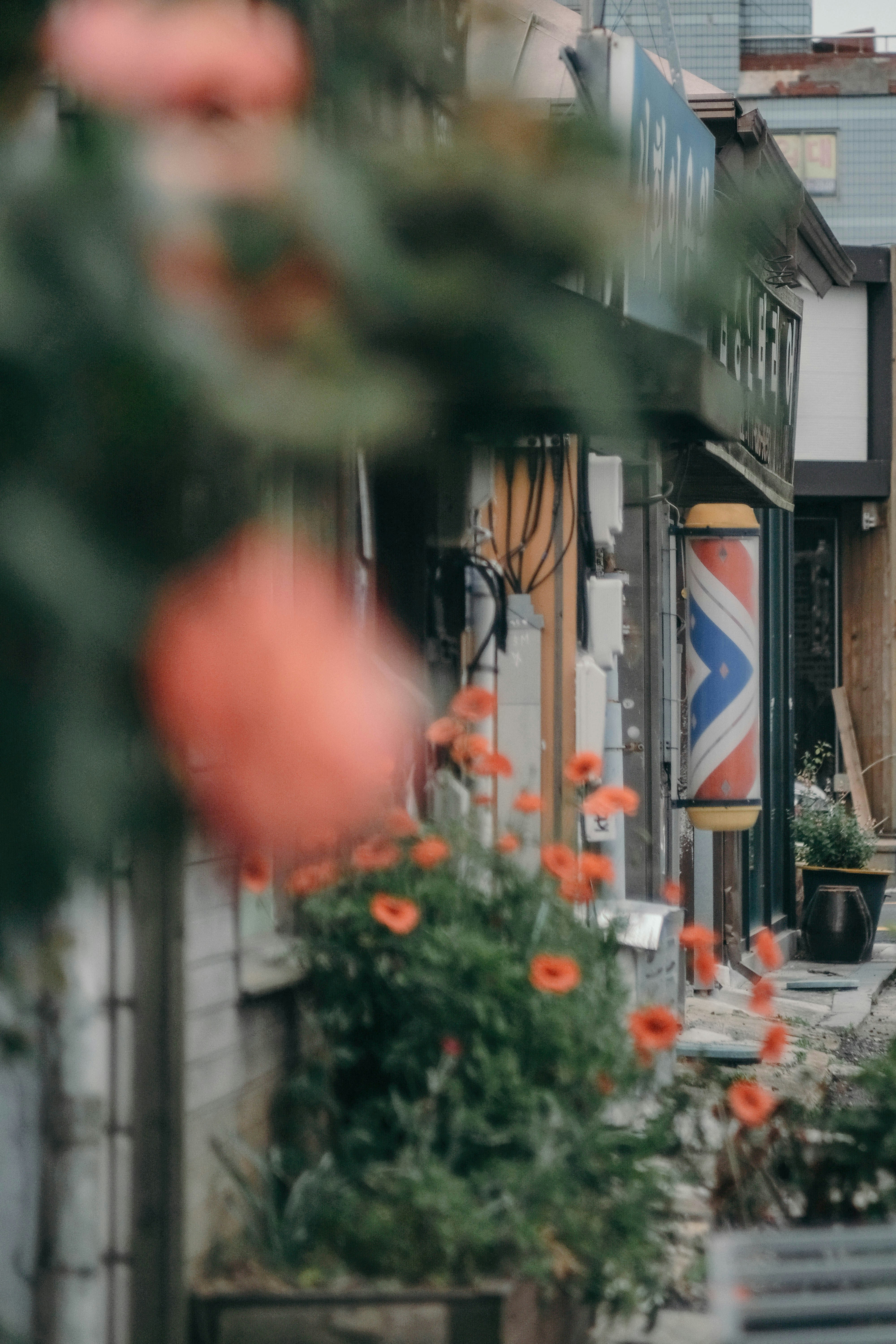 Photo by insungpandora