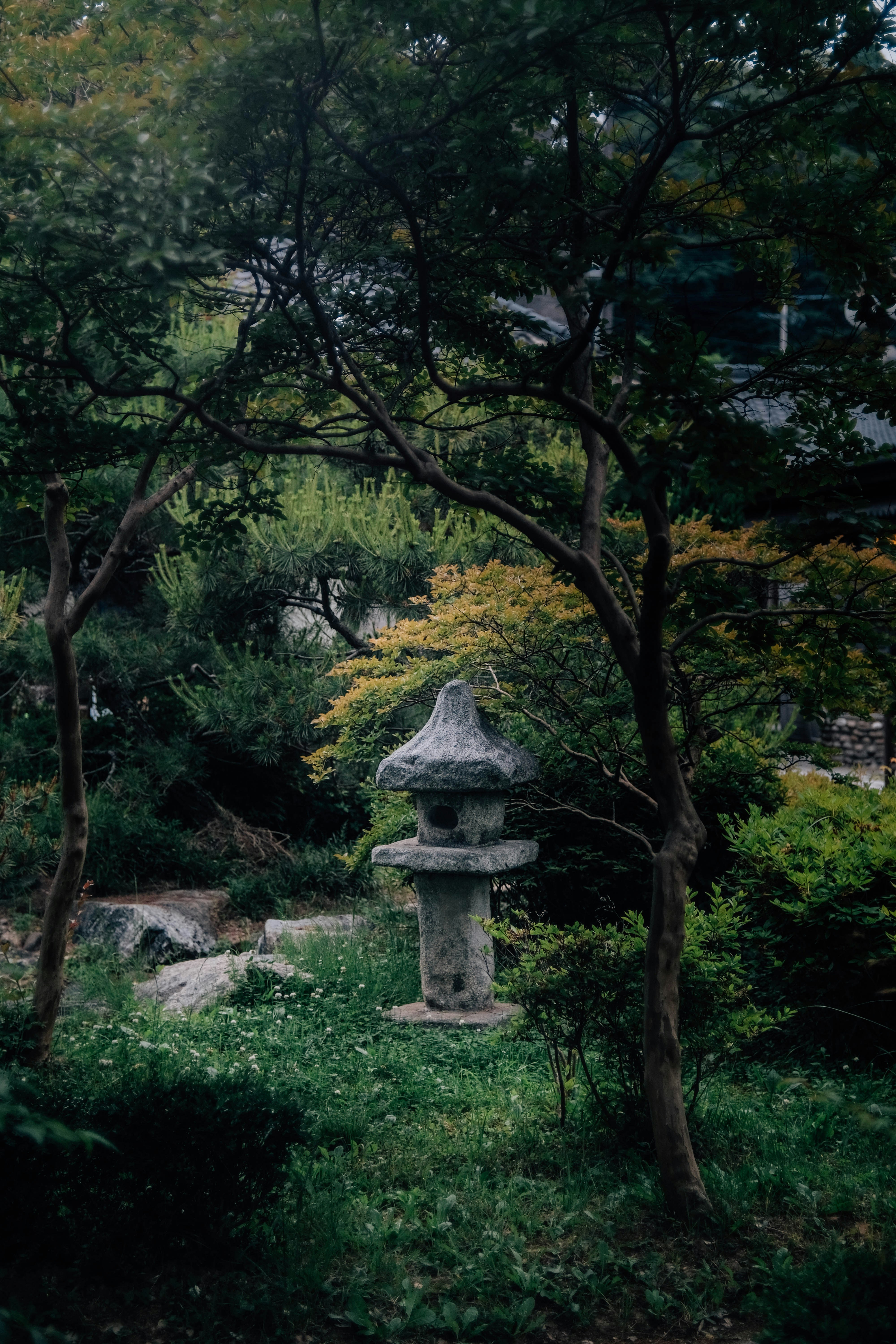 Photo by insungpandora