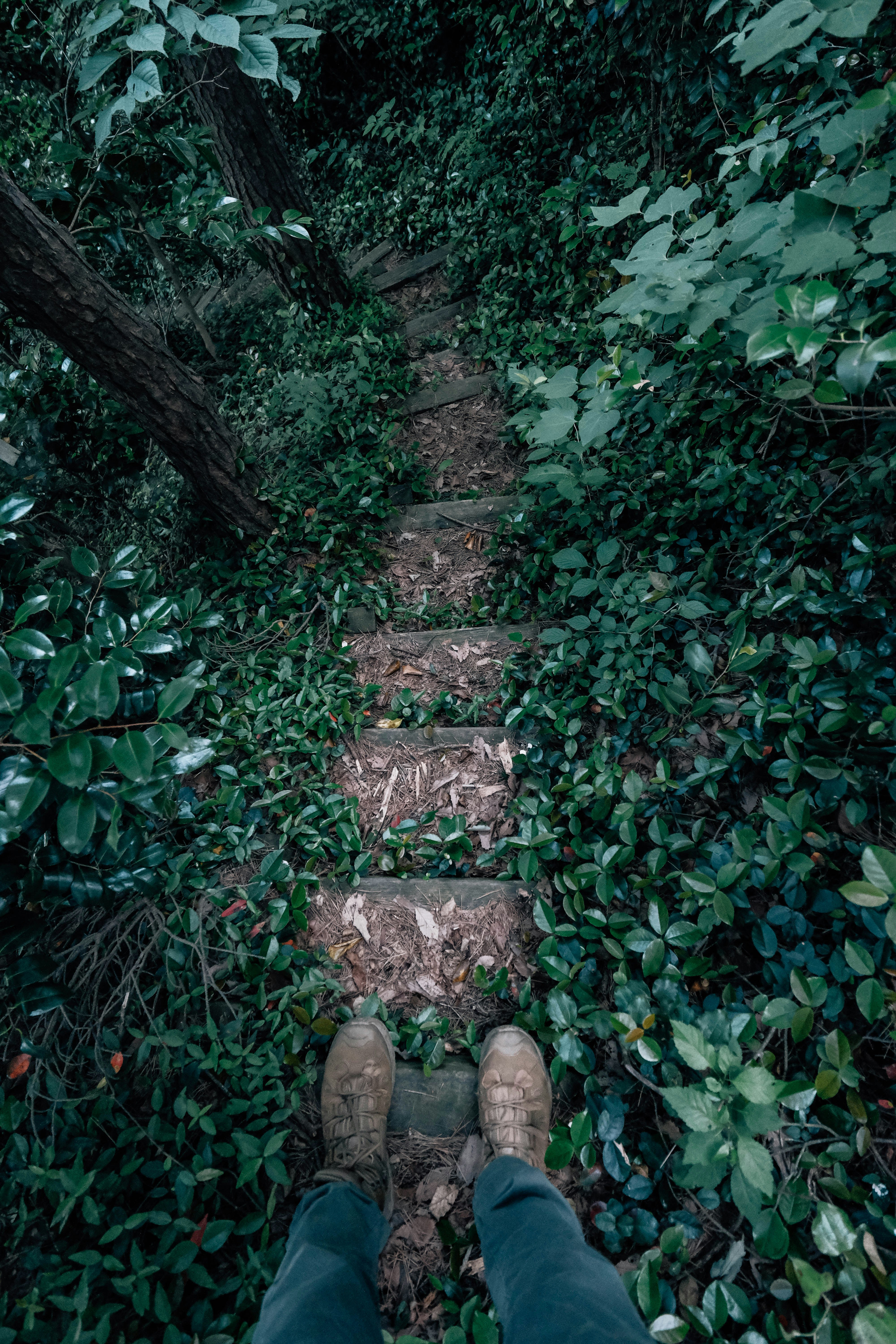 Photo by insungpandora