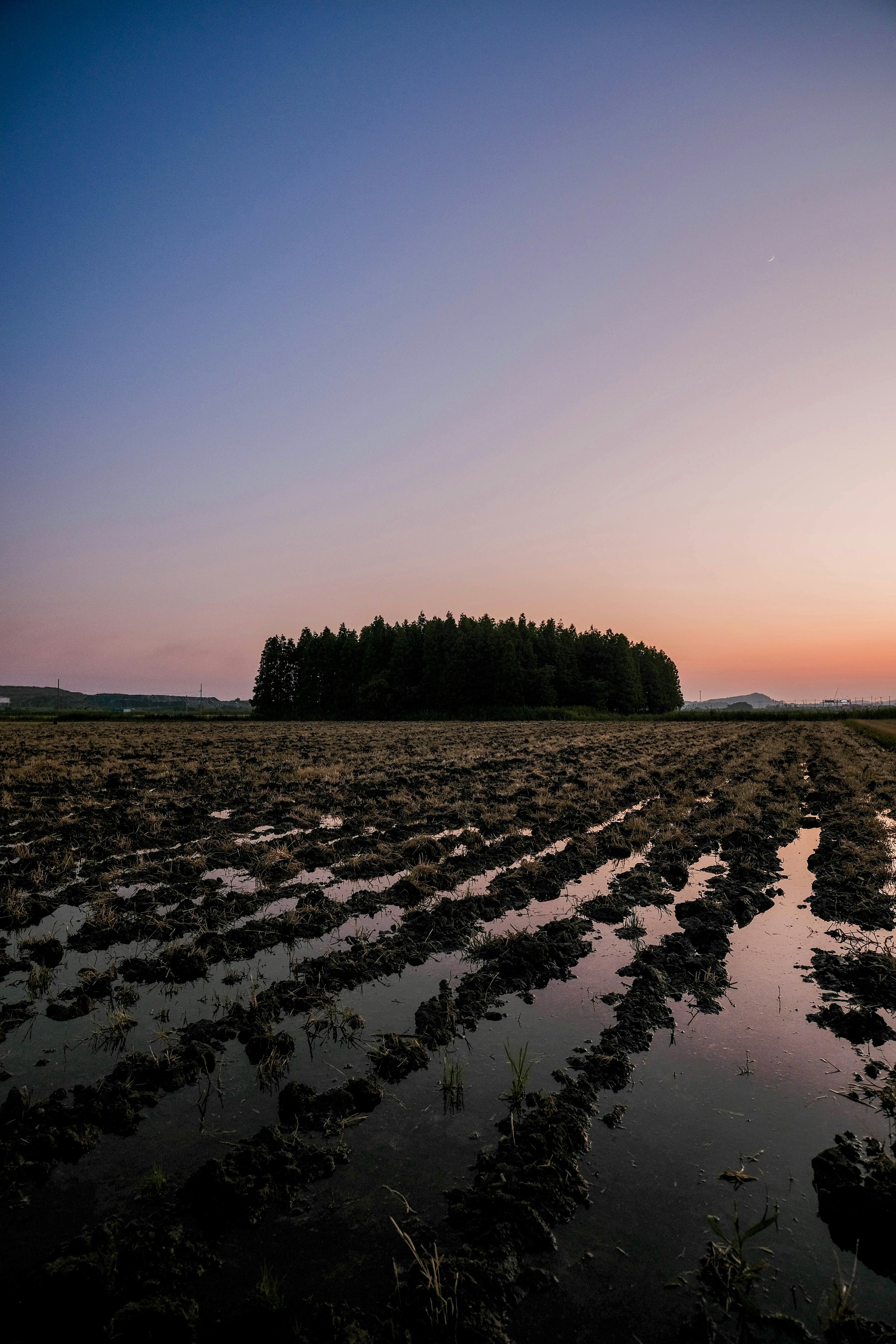 Photo by insungpandora