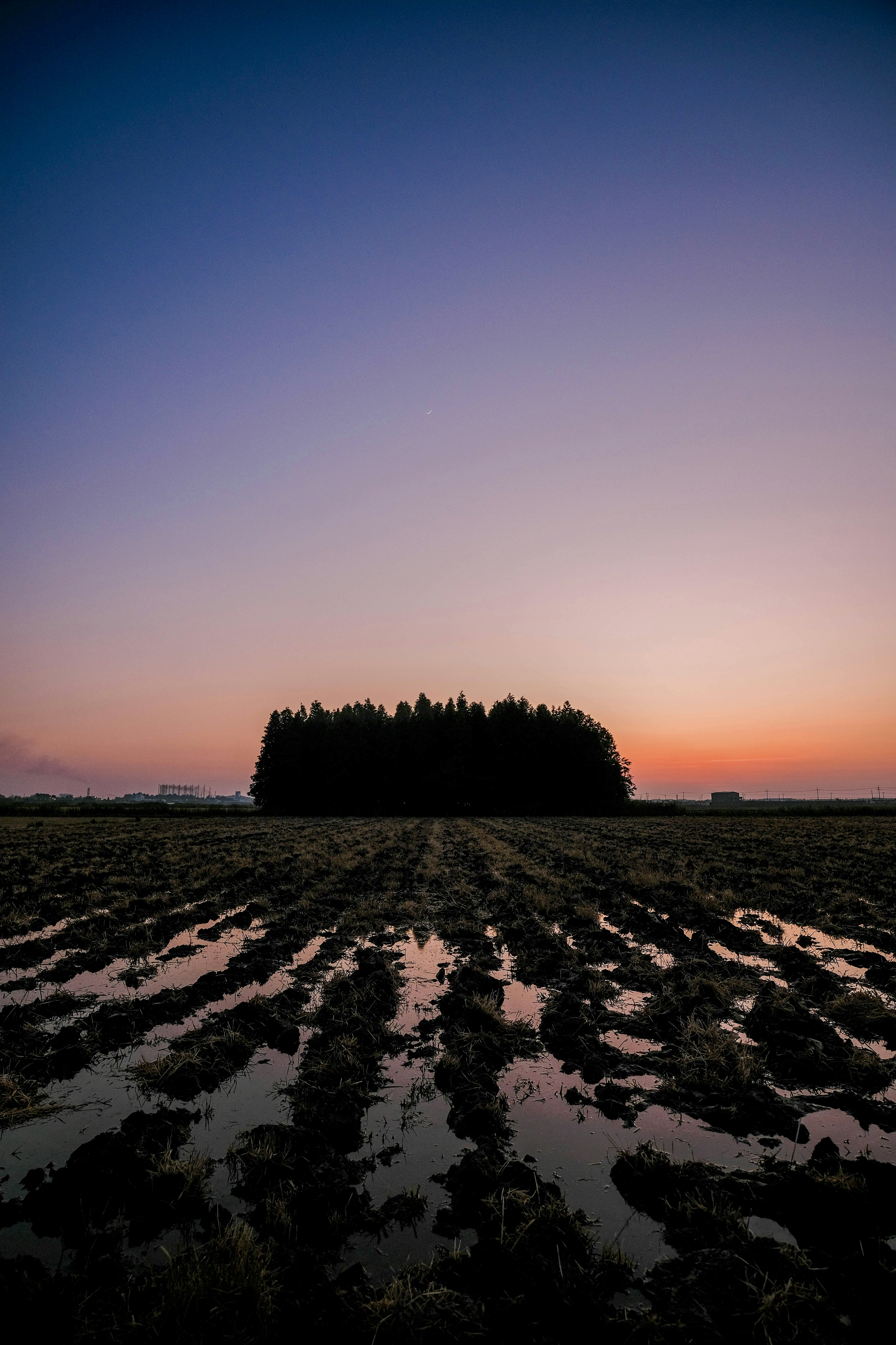 Photo by insungpandora