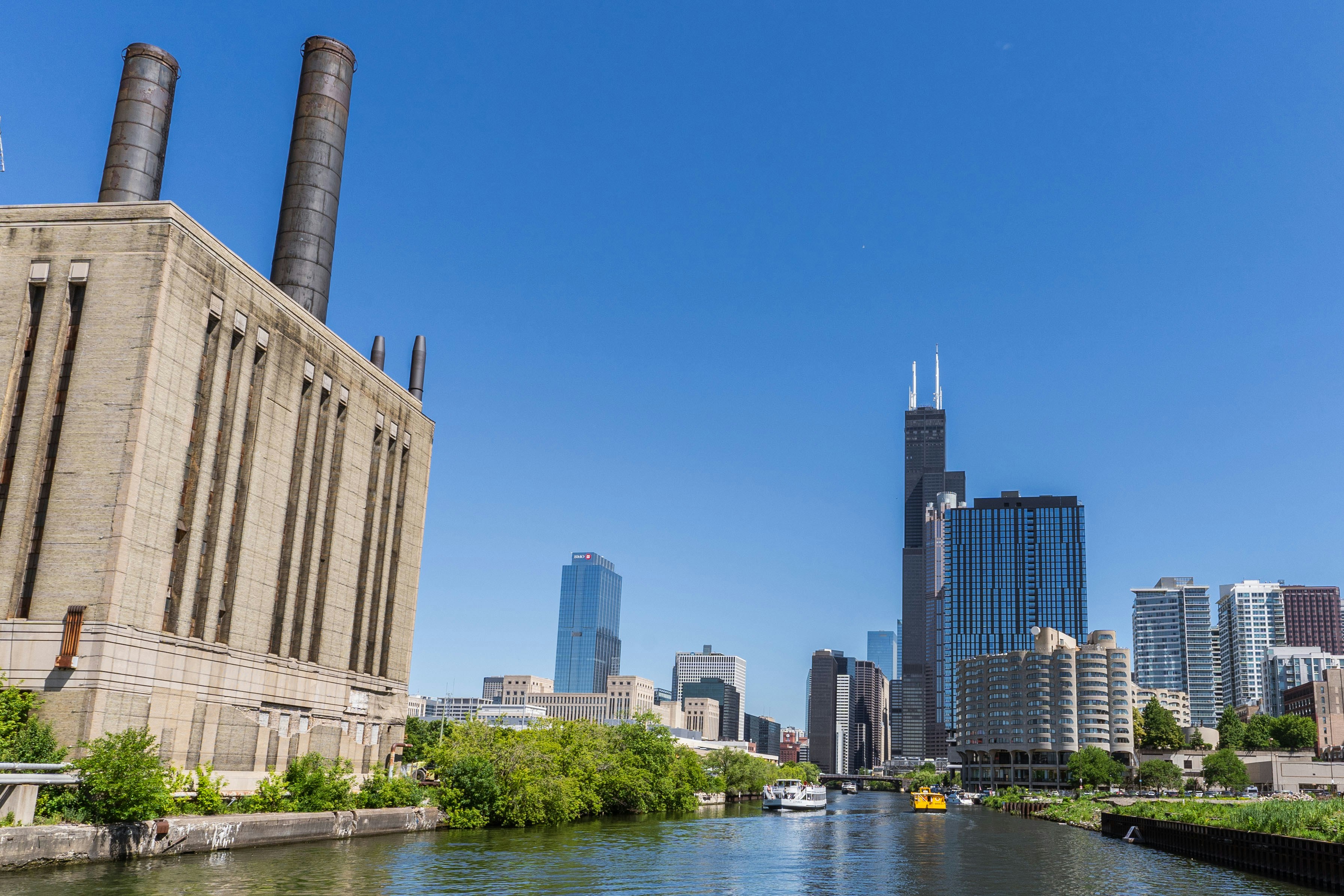 Best Mold Inspectors in Chicago (2026 Guide)