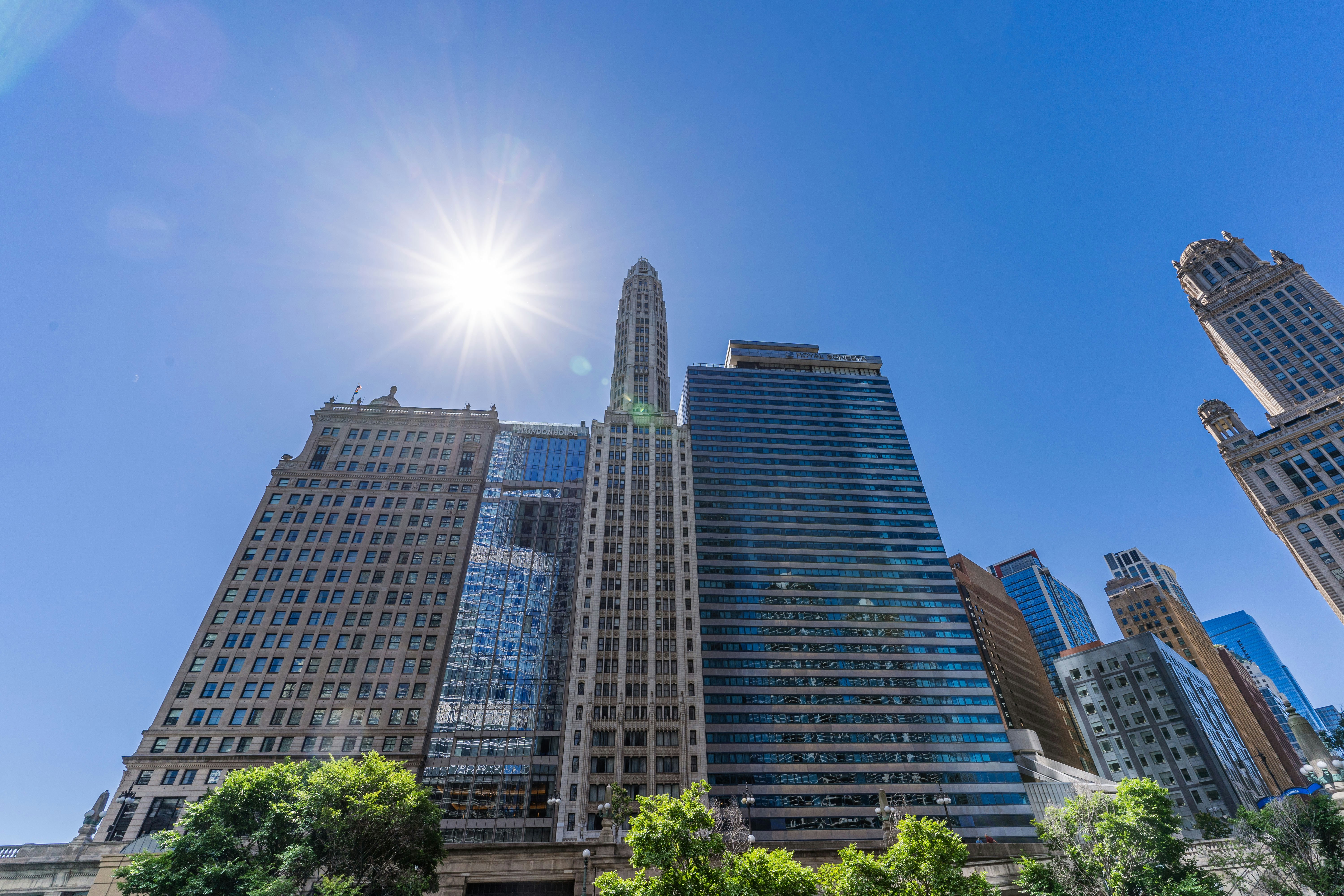 とても高い建物で、目の前には木々がたくさん生えています