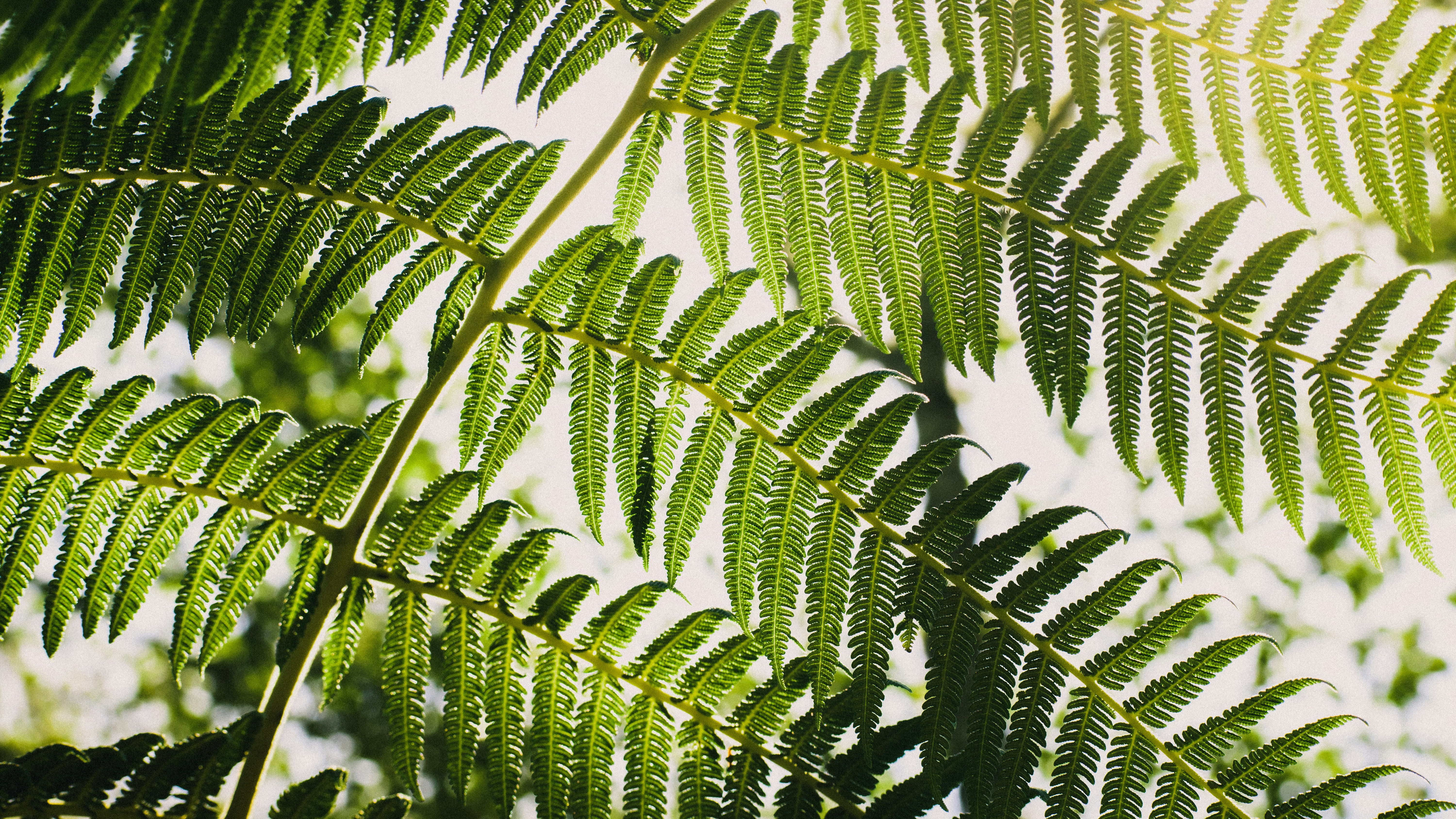 Photo by sebaslaverde_nkn