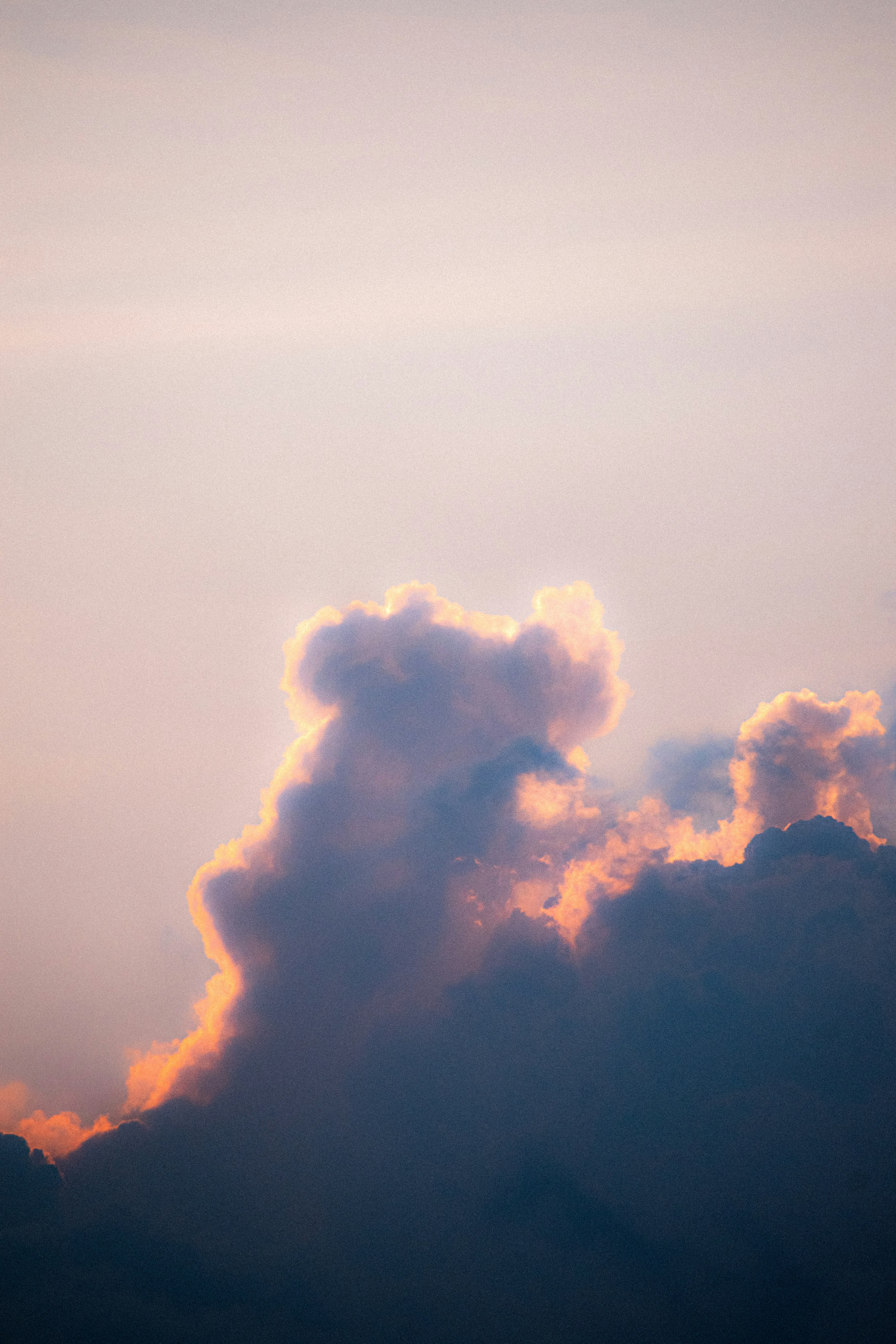 Photo by sebaslaverde_nkn