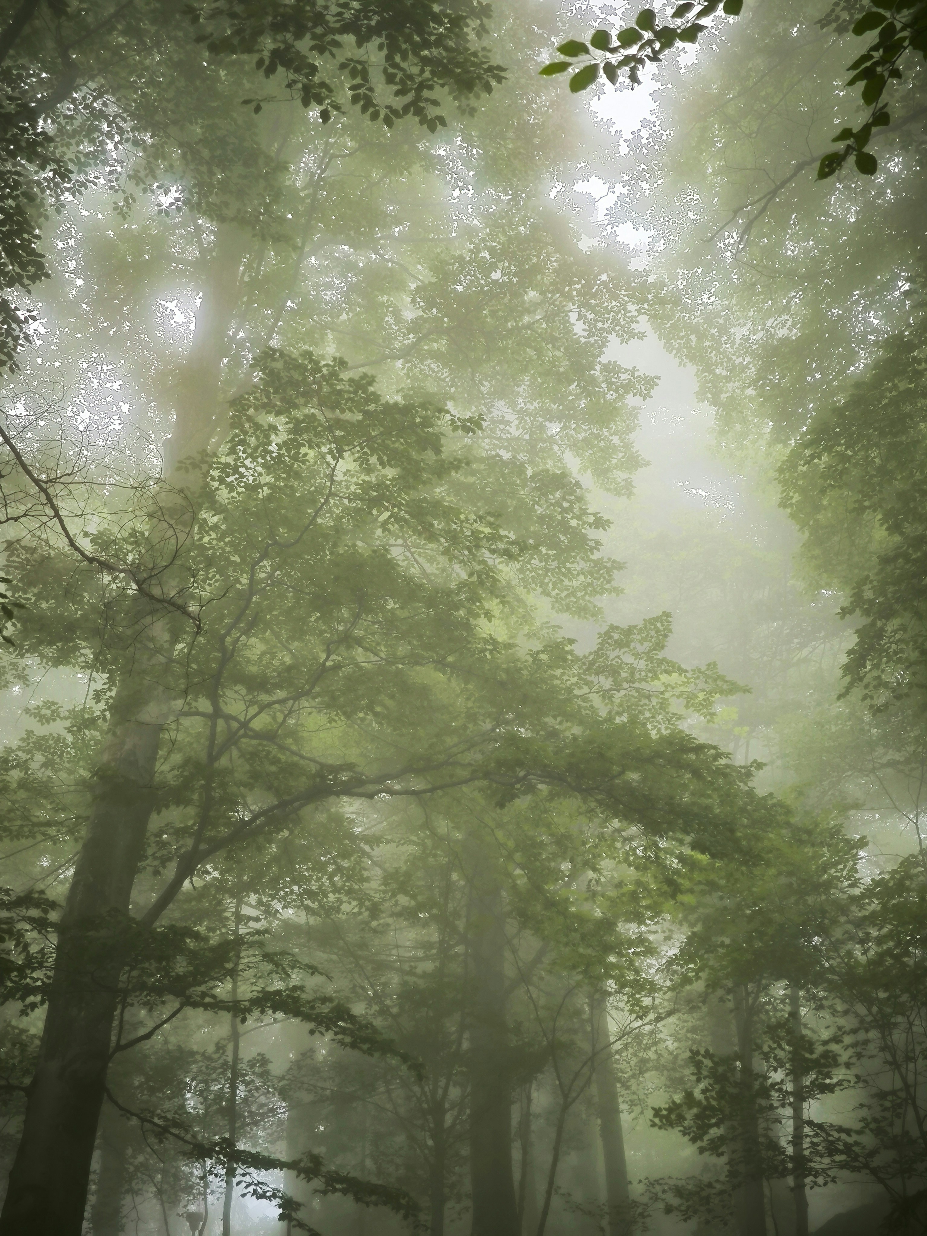 Photo by giulia_bertelli