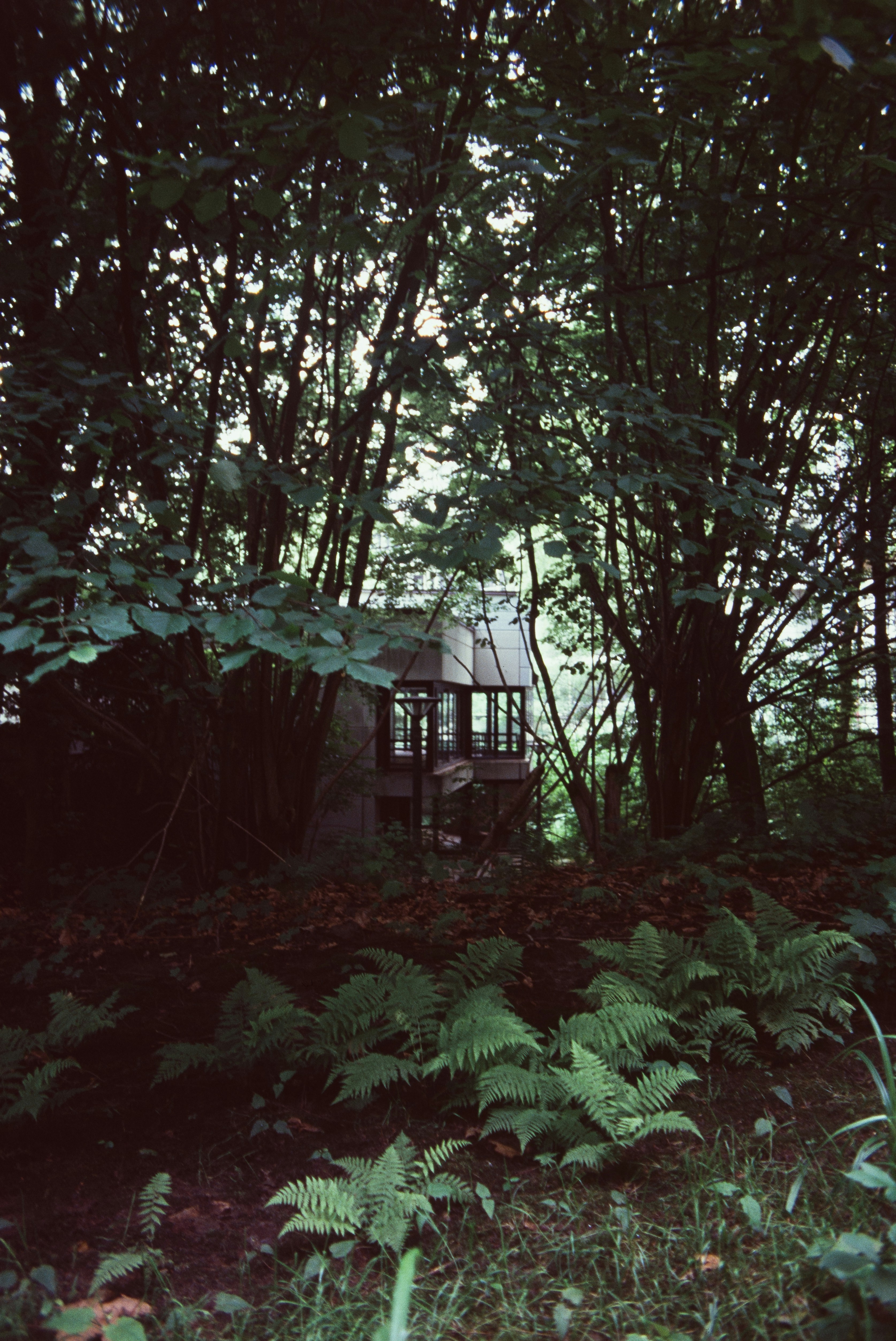 Photo by ax4w