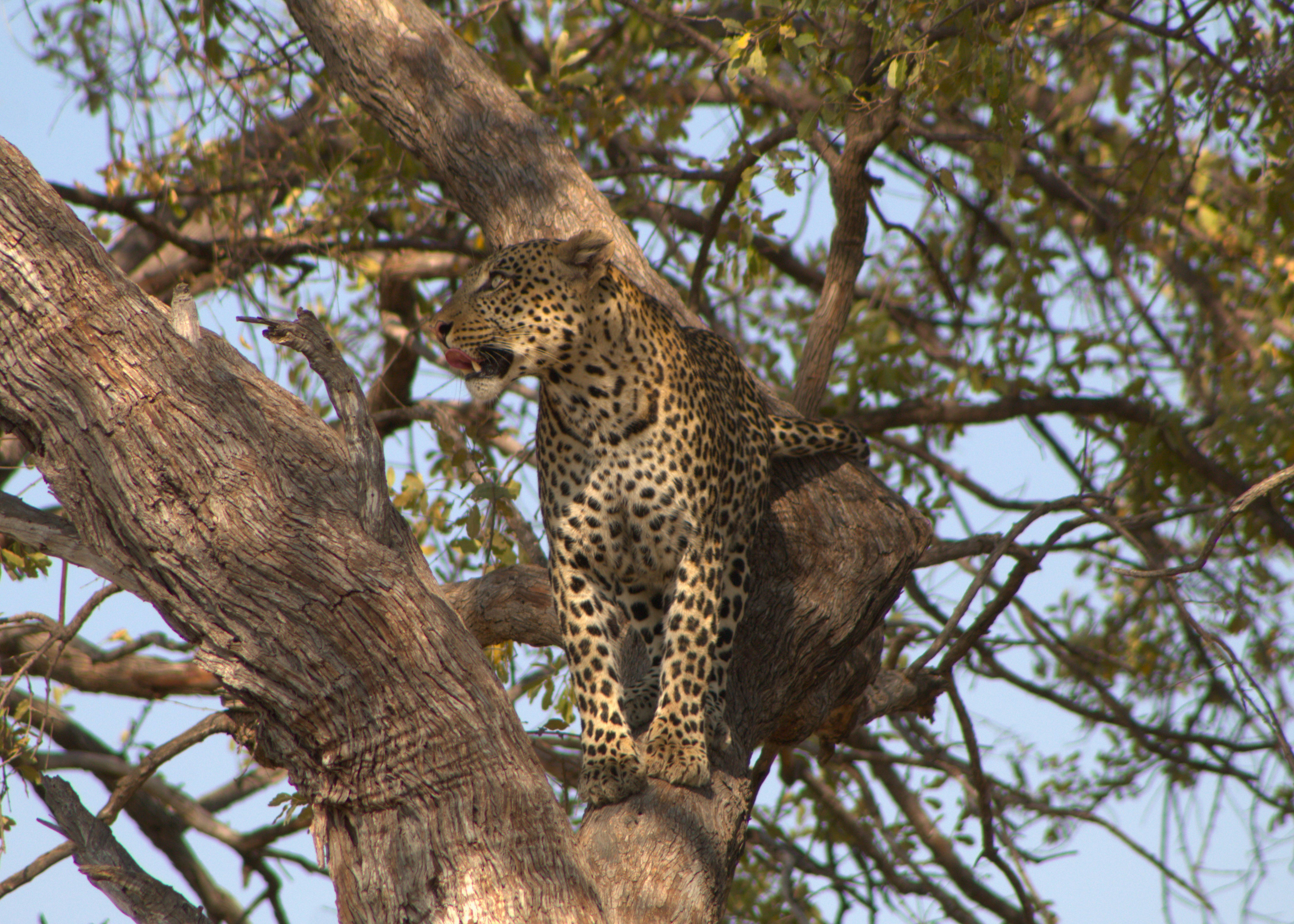 Photo by offtrackers