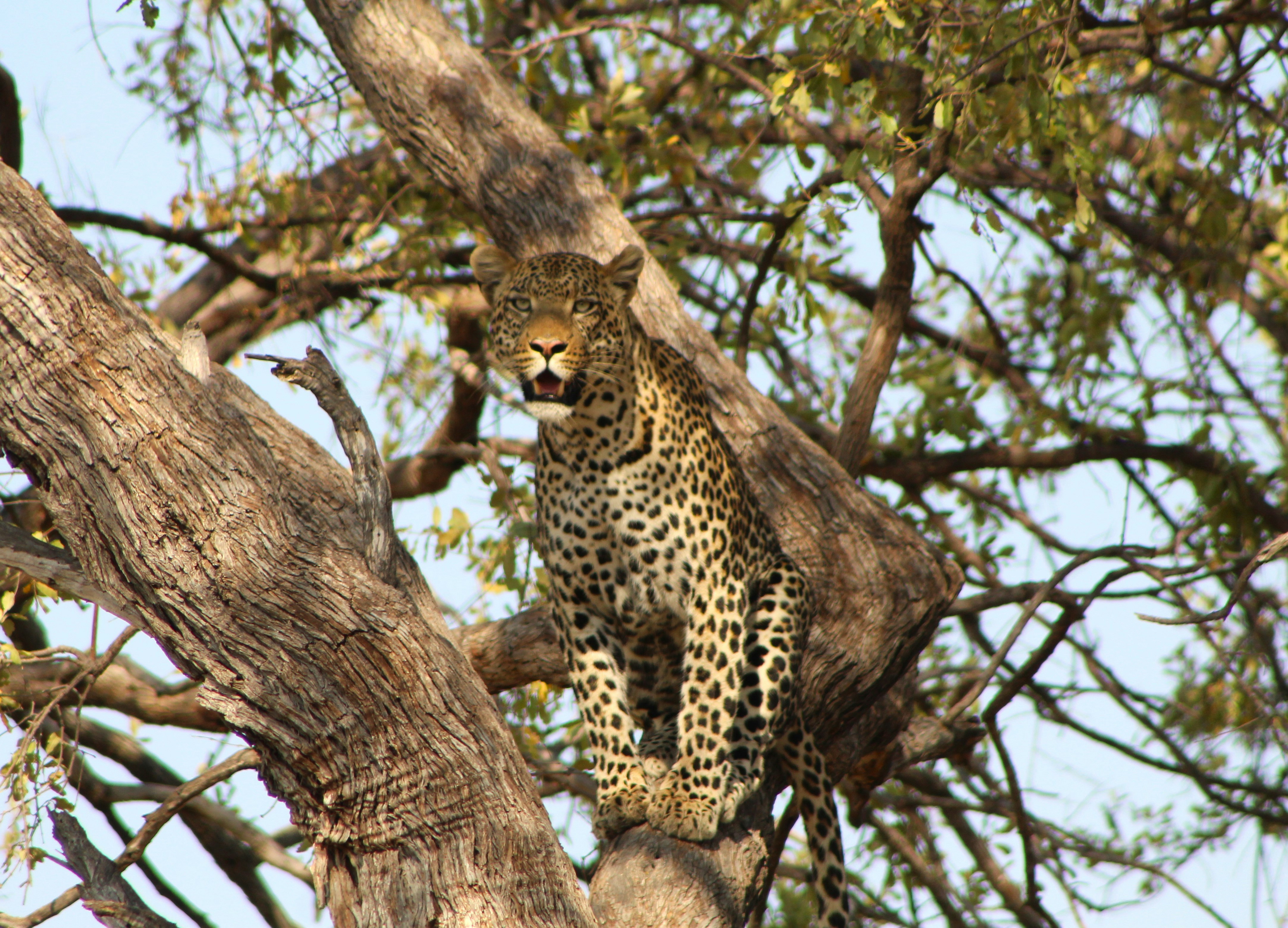 Photo by offtrackers