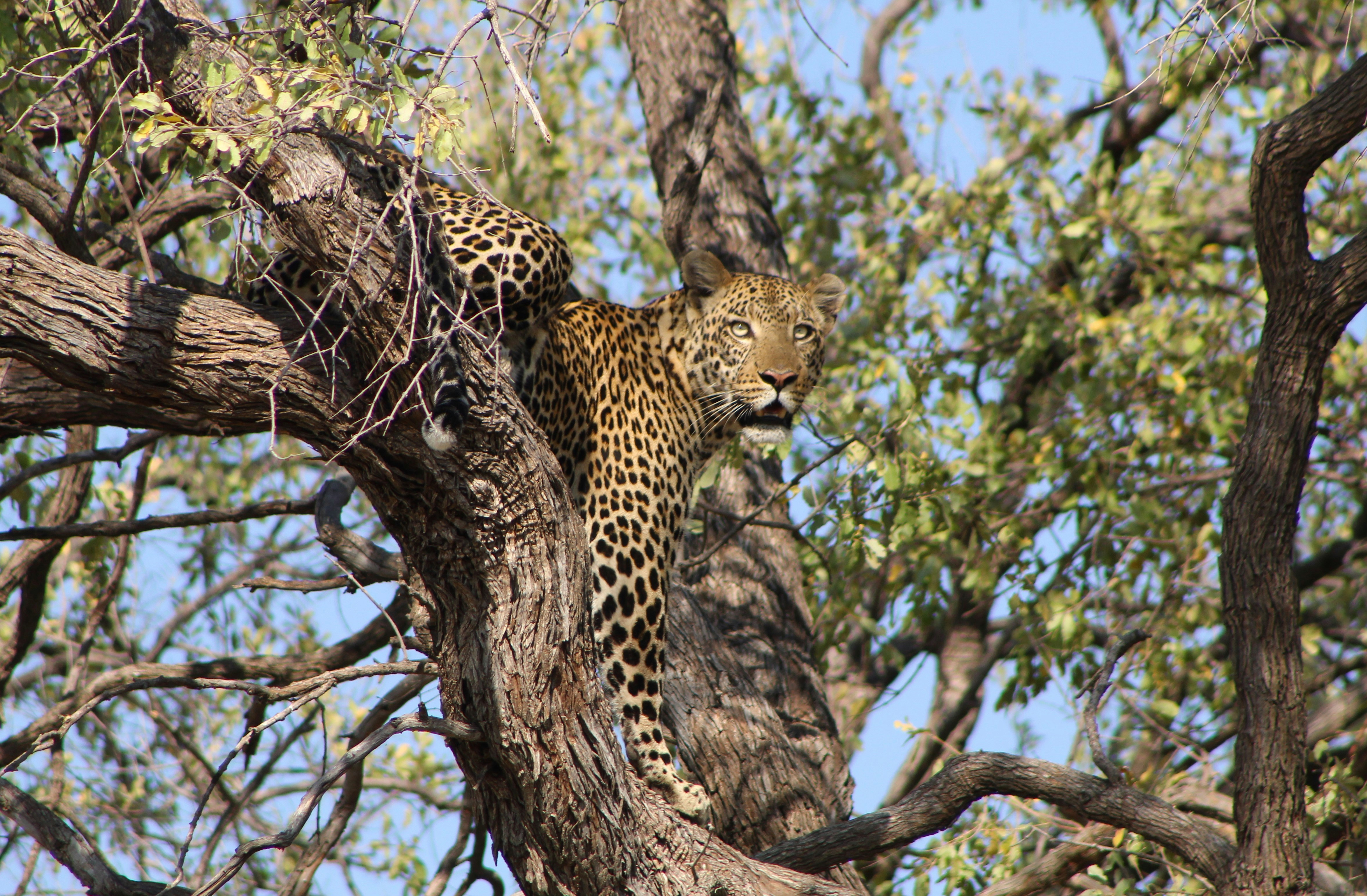 Photo by offtrackers