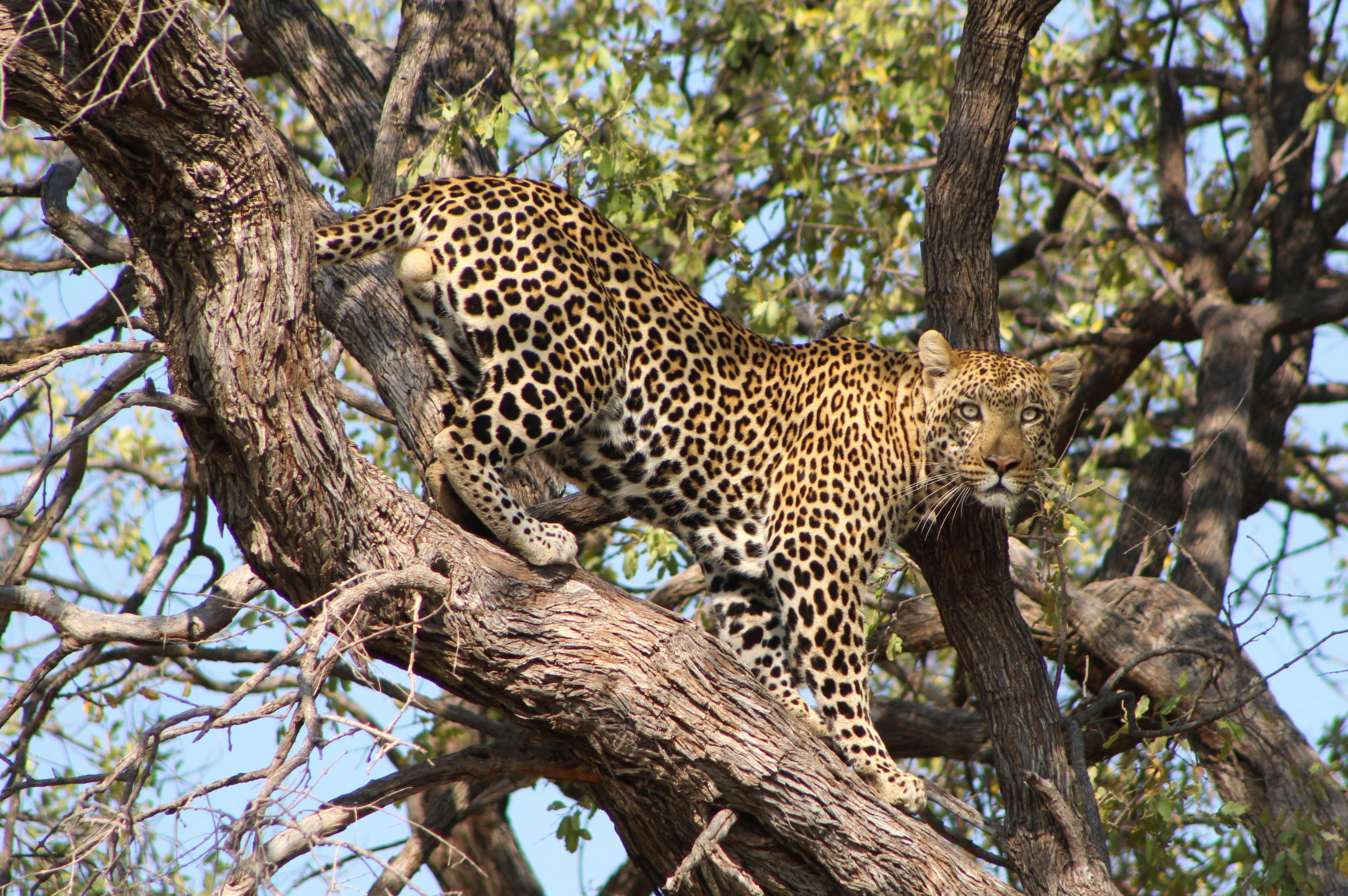 Photo by offtrackers