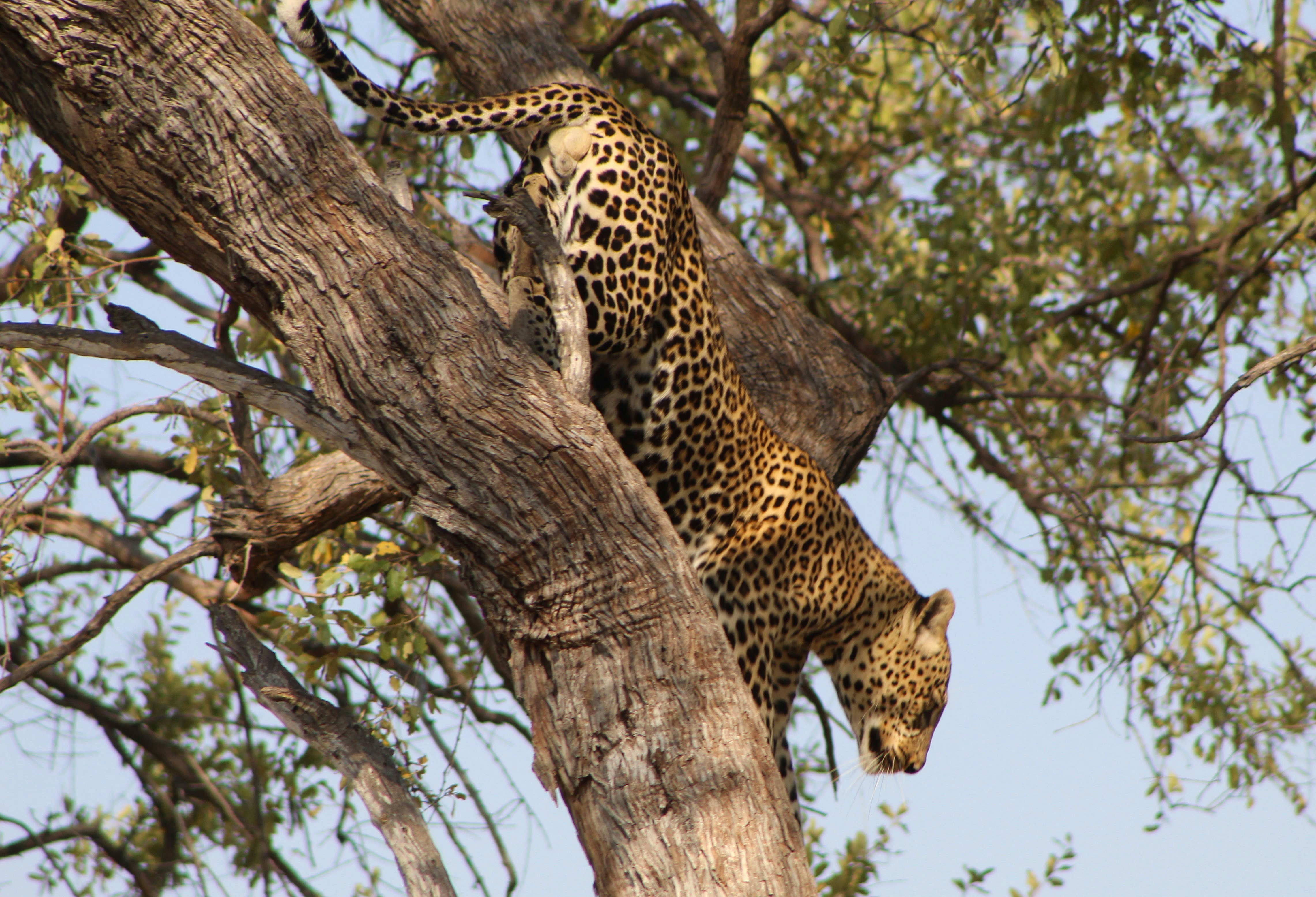 Photo by offtrackers