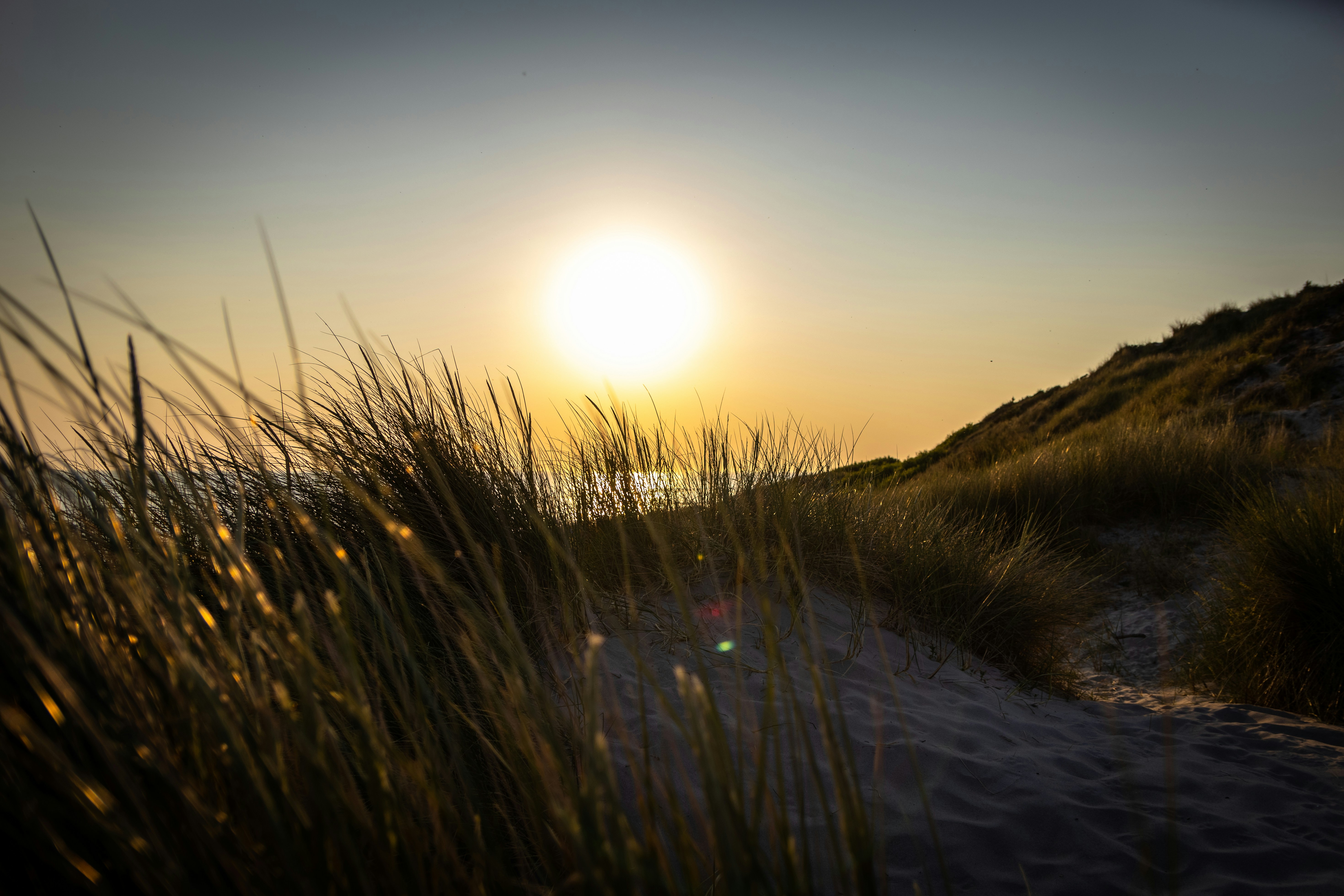 Photo by kennyvrphotography