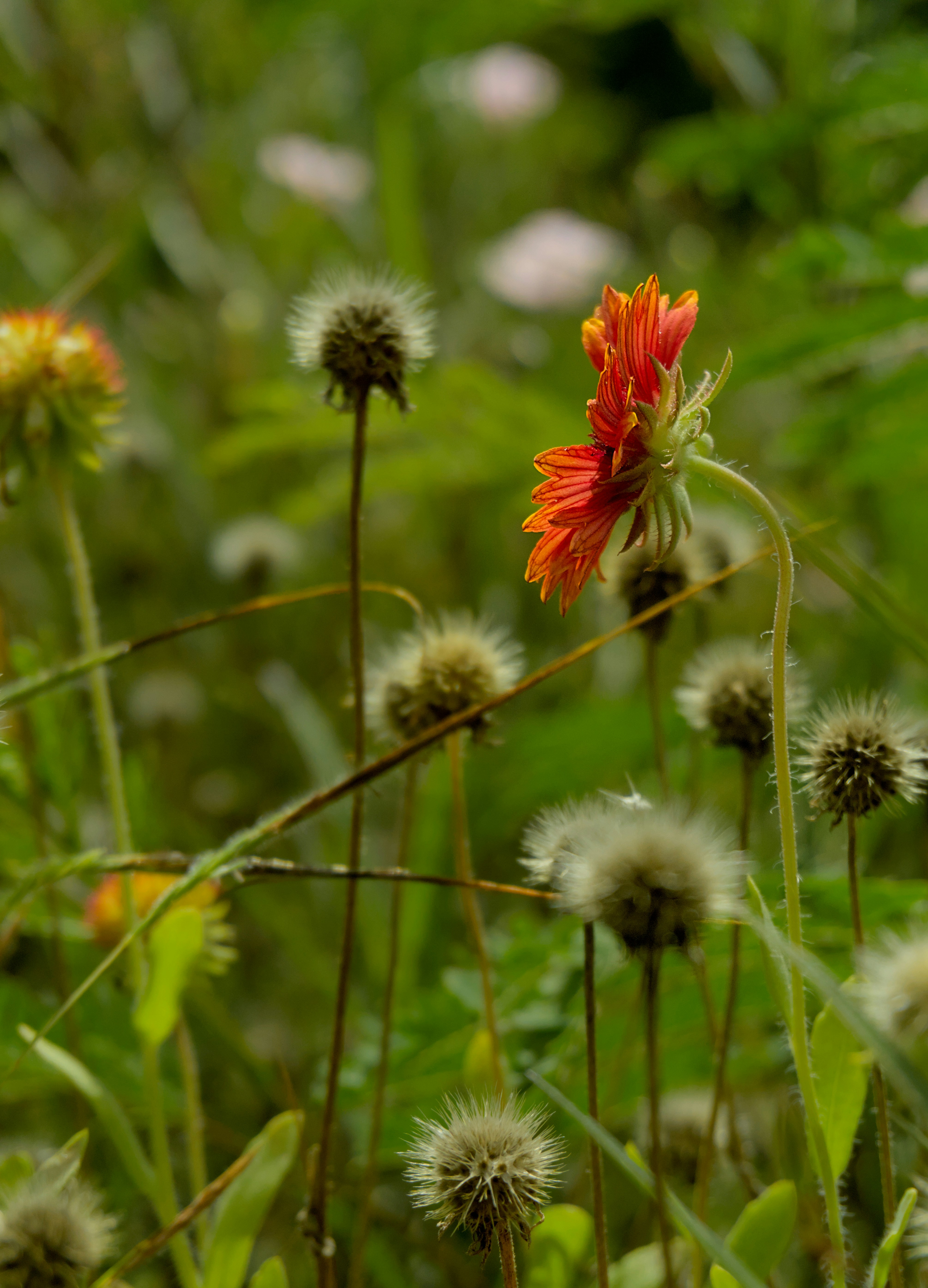 Photo by raja_clicks