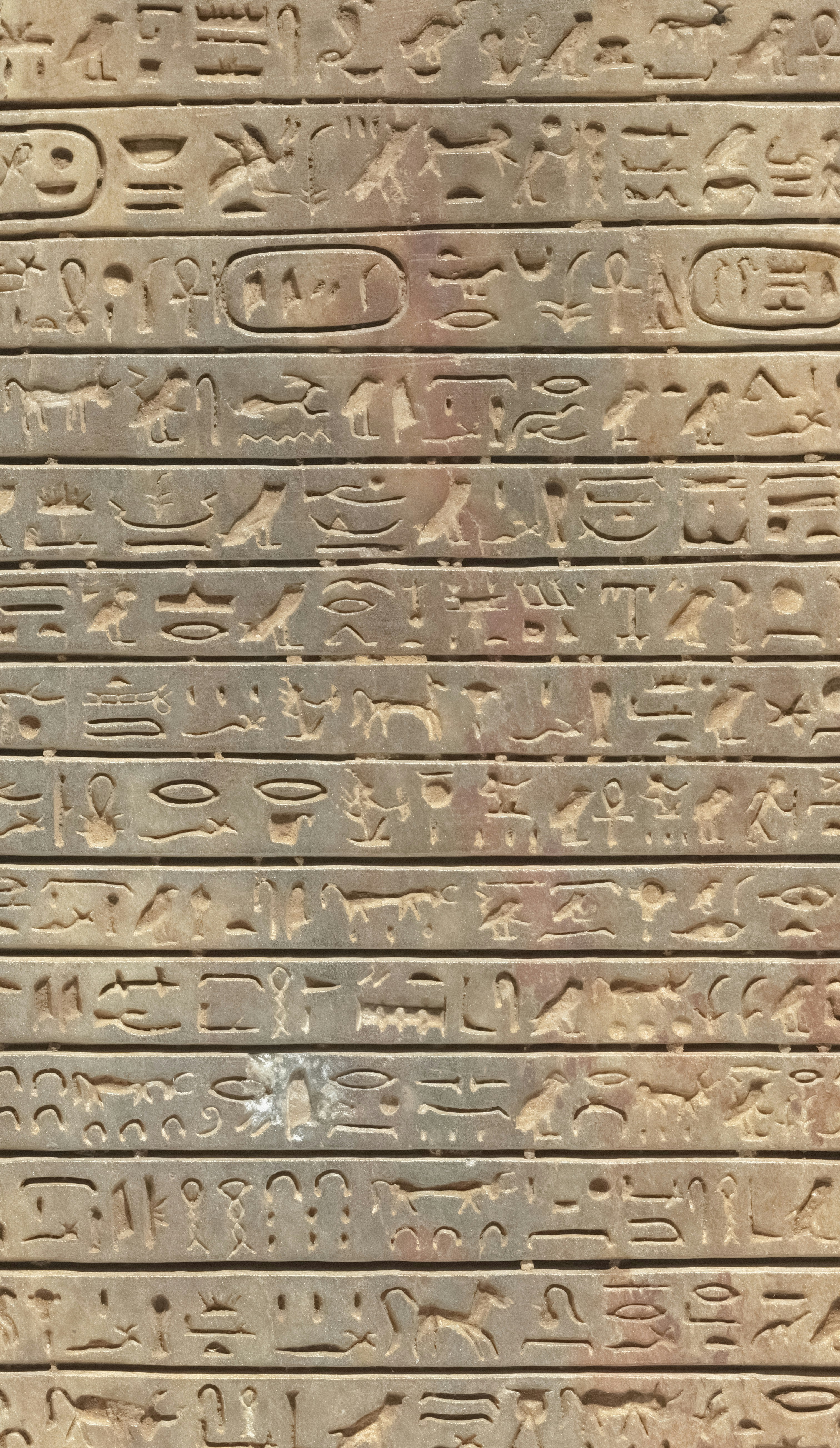 delphi code wallpaper, wallpaper, Delphi Programming Language: A Comprehensive Guide 1