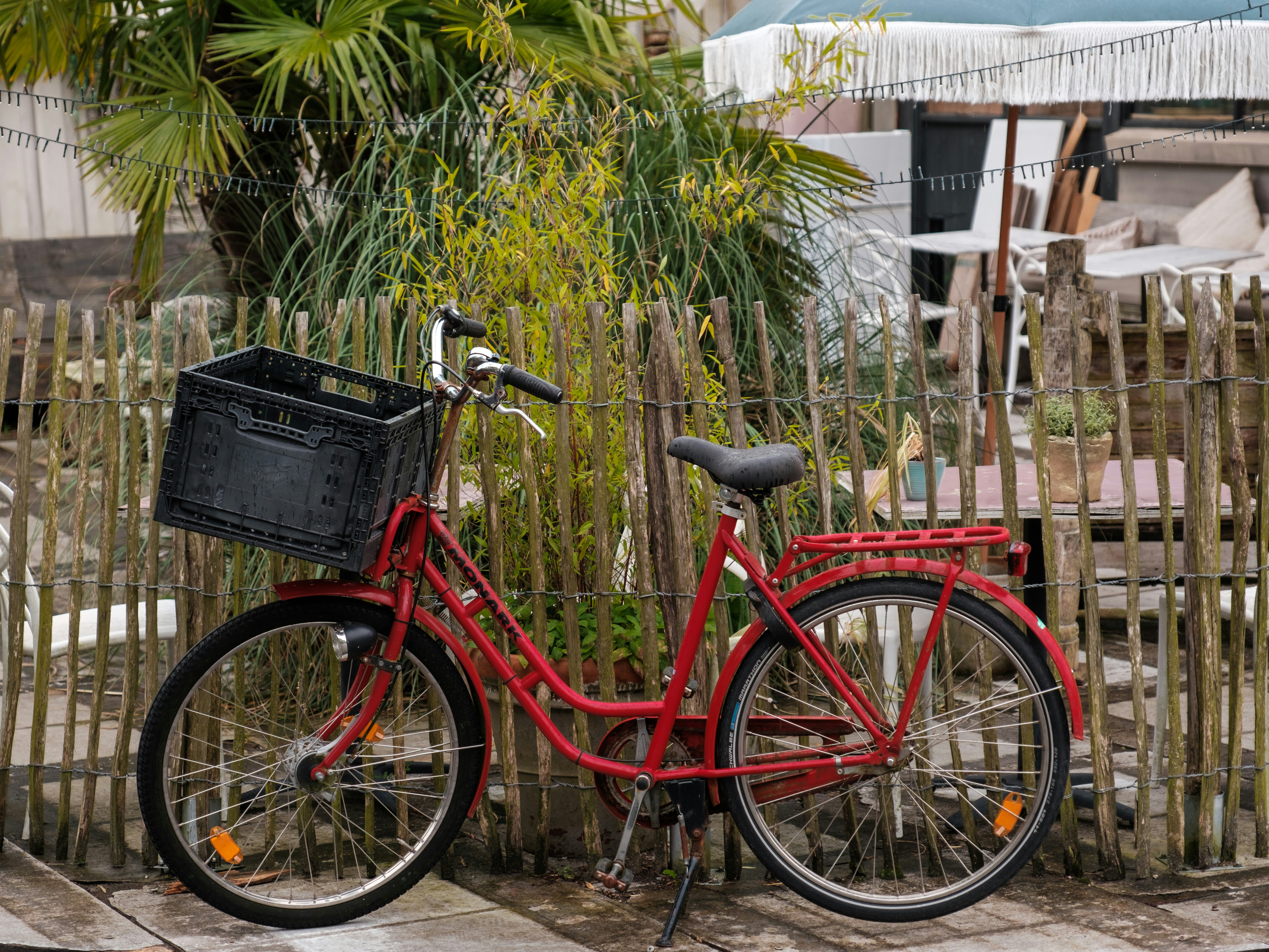 Photo by haberdoedas2