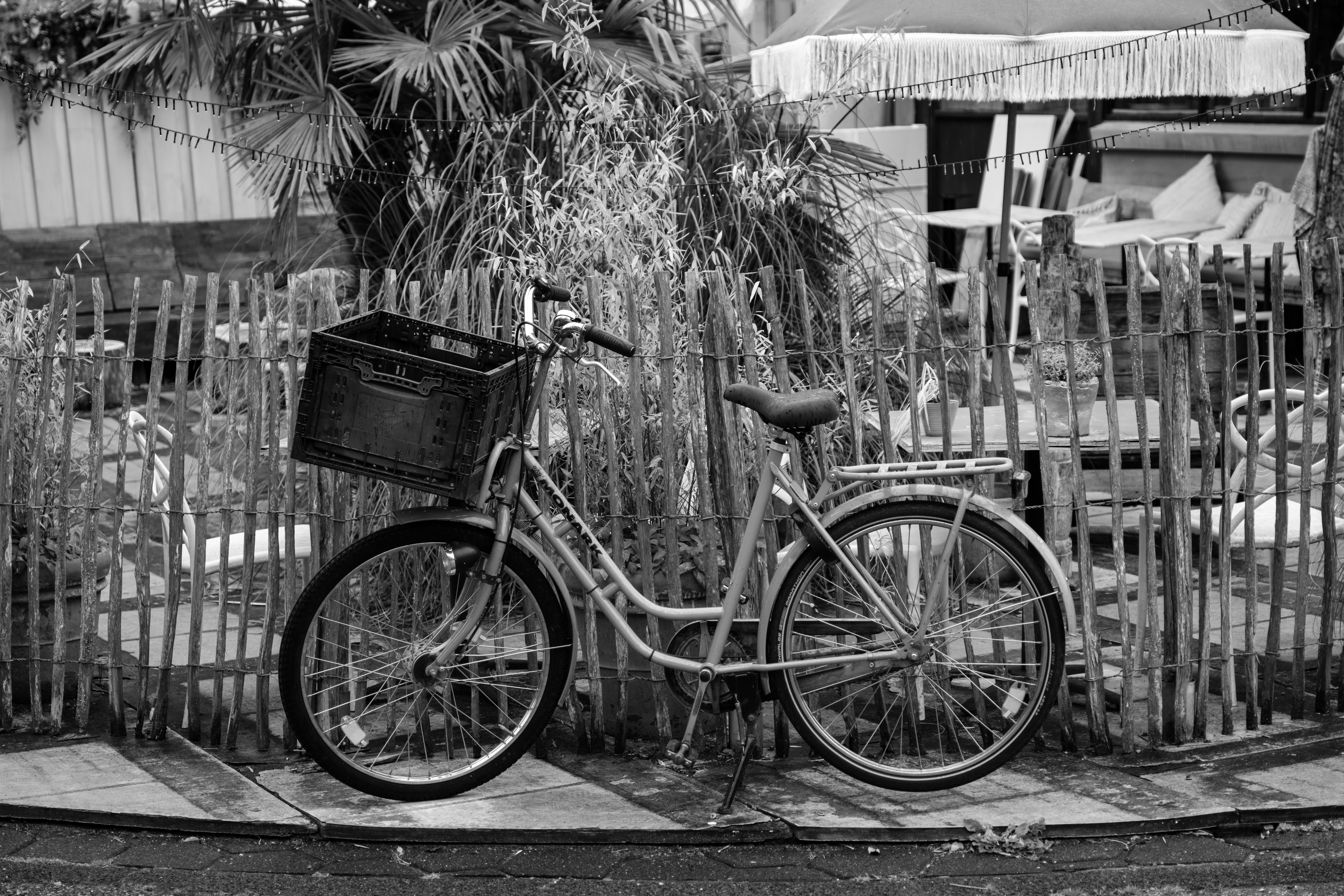 Photo by haberdoedas2