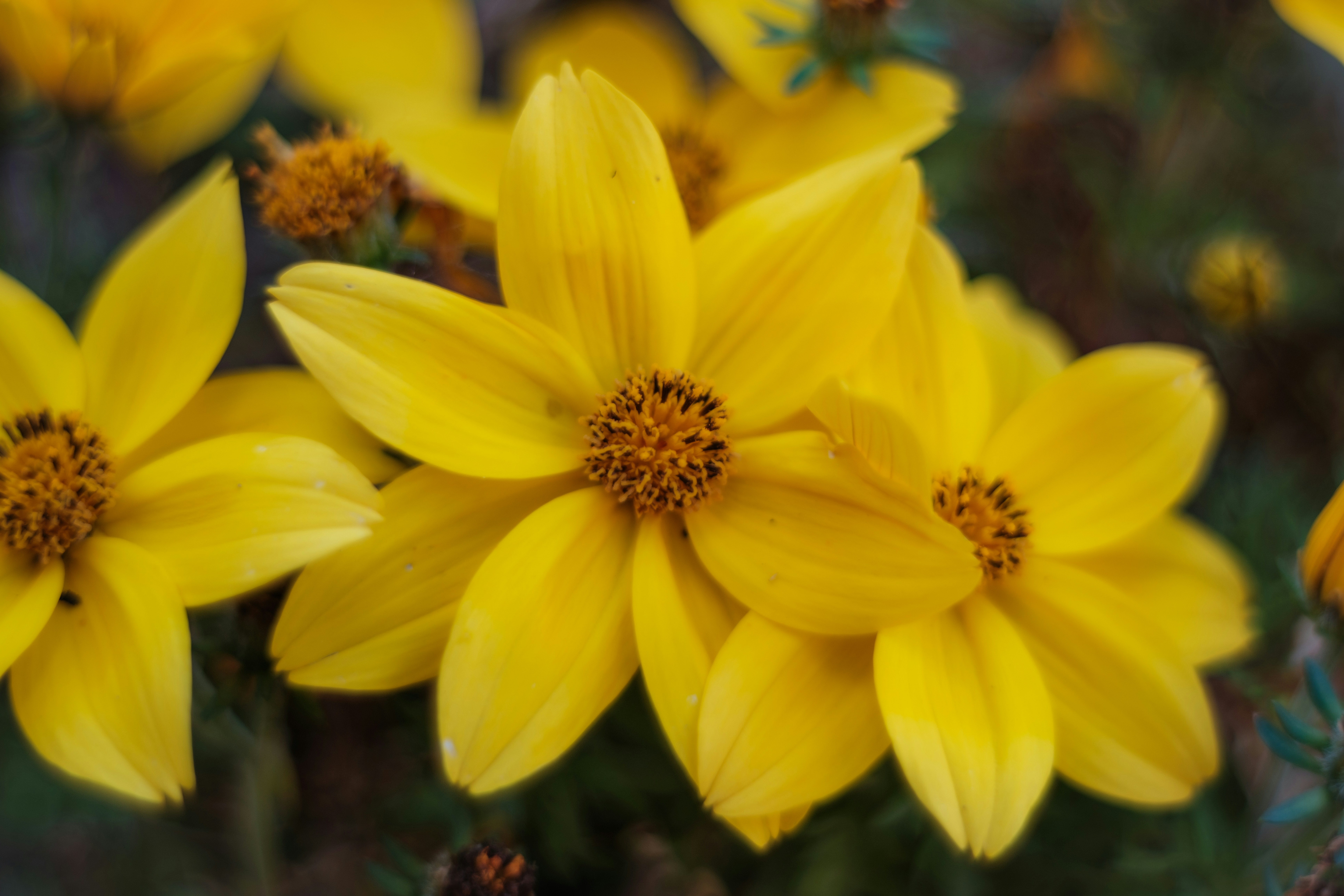 Photo by haberdoedas2