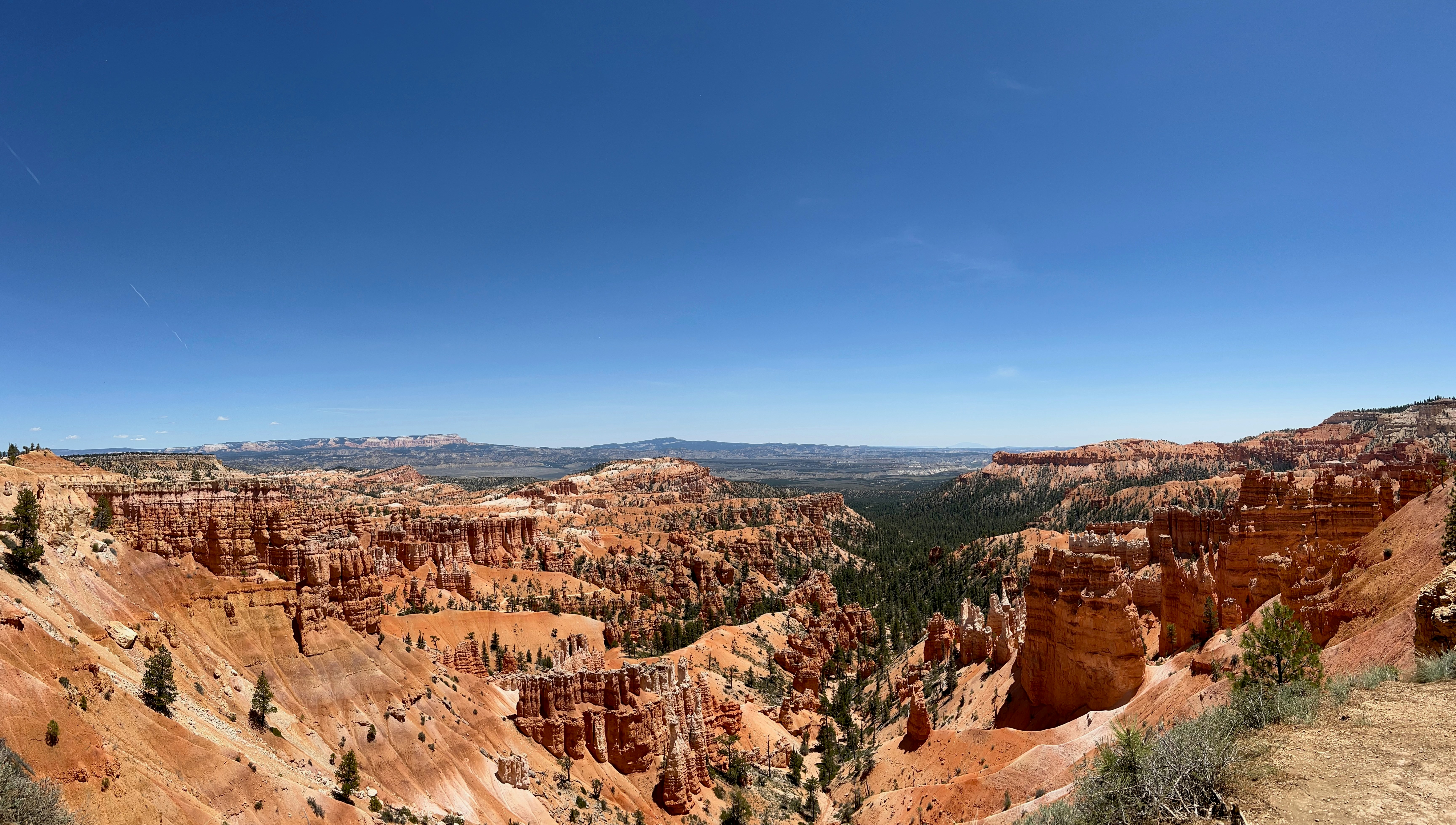 Photo by bladerunn3r