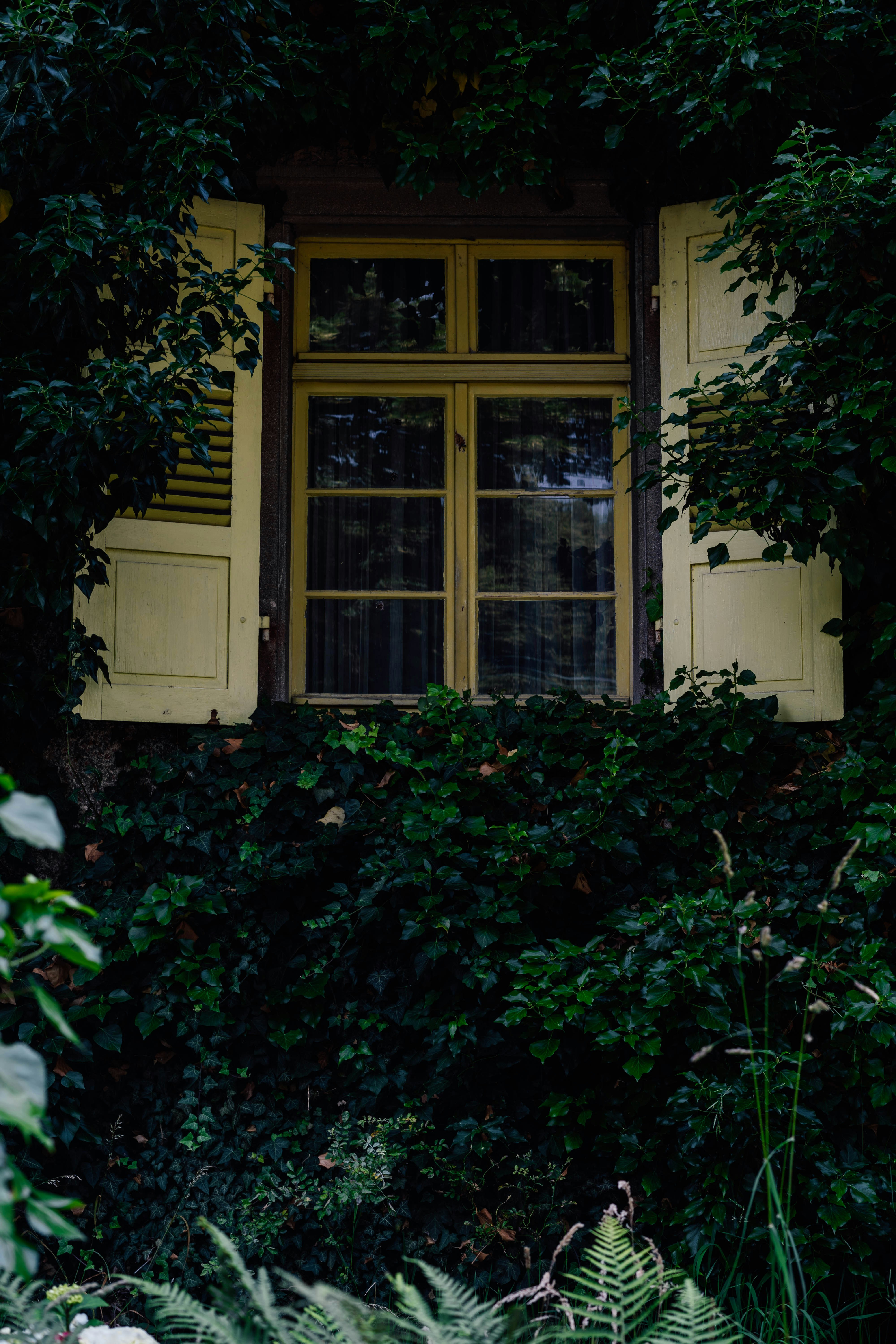 Photo by allexander_h