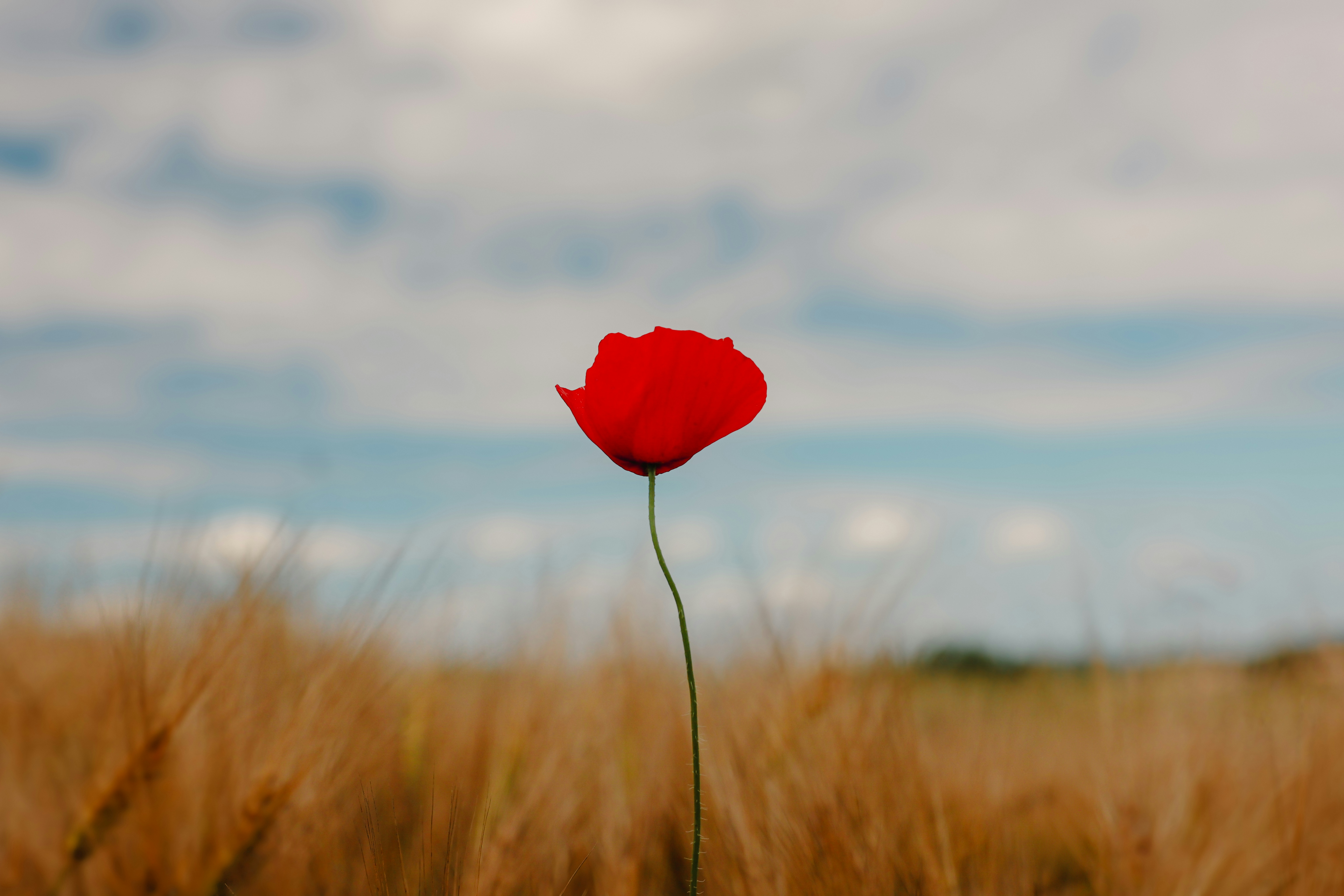 Photo by stefaniejockschat