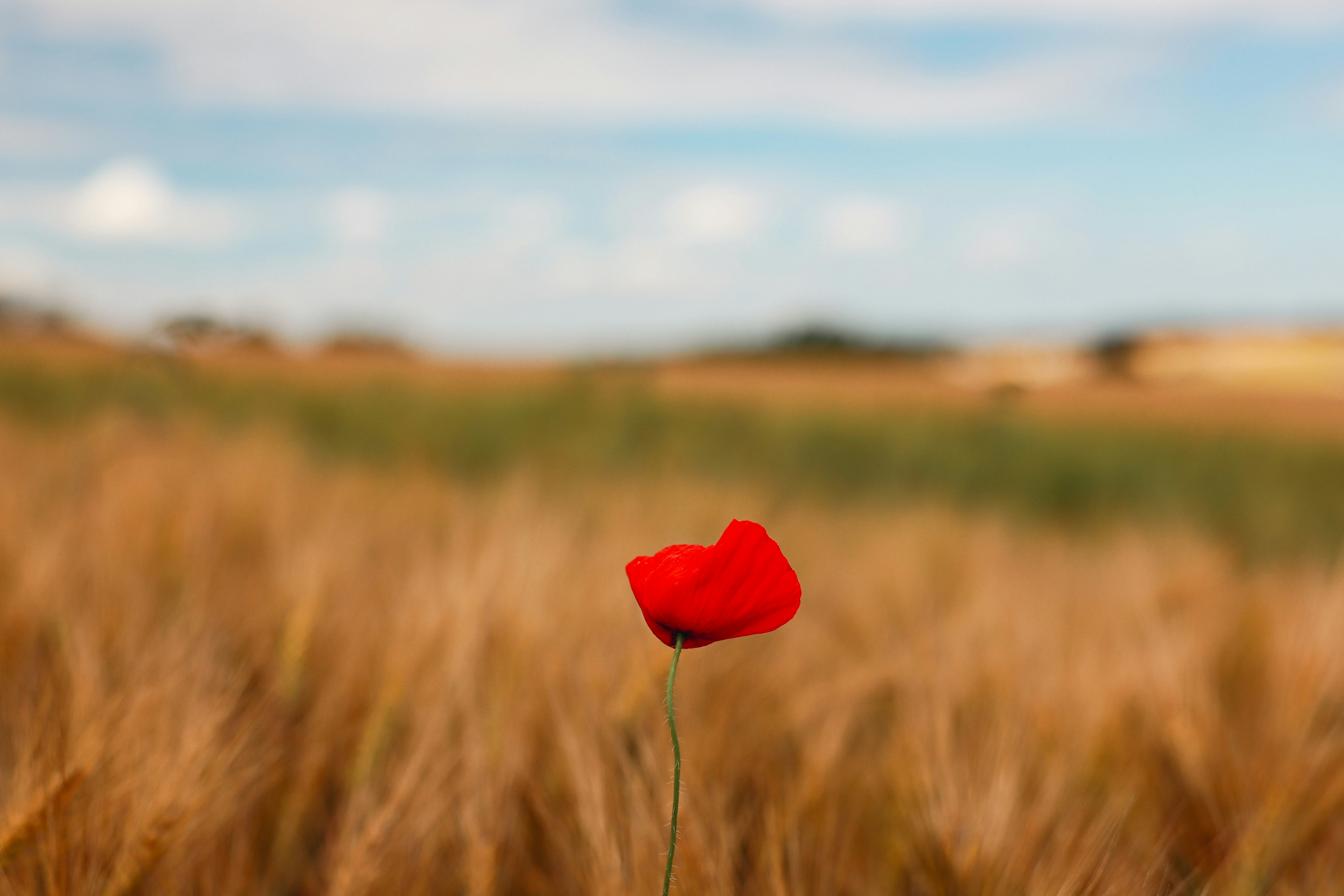 Photo by stefaniejockschat