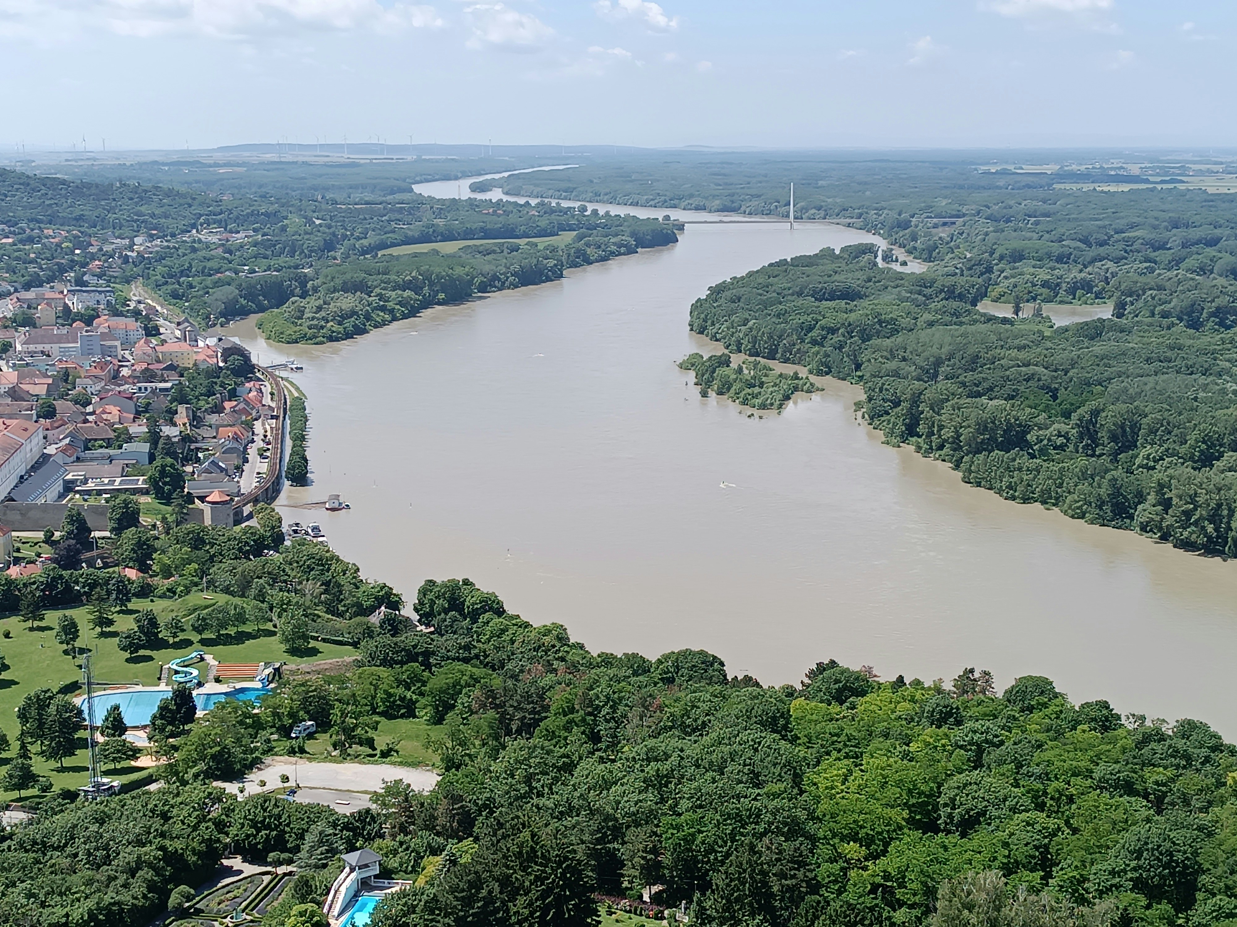 A river running through a lush green forest