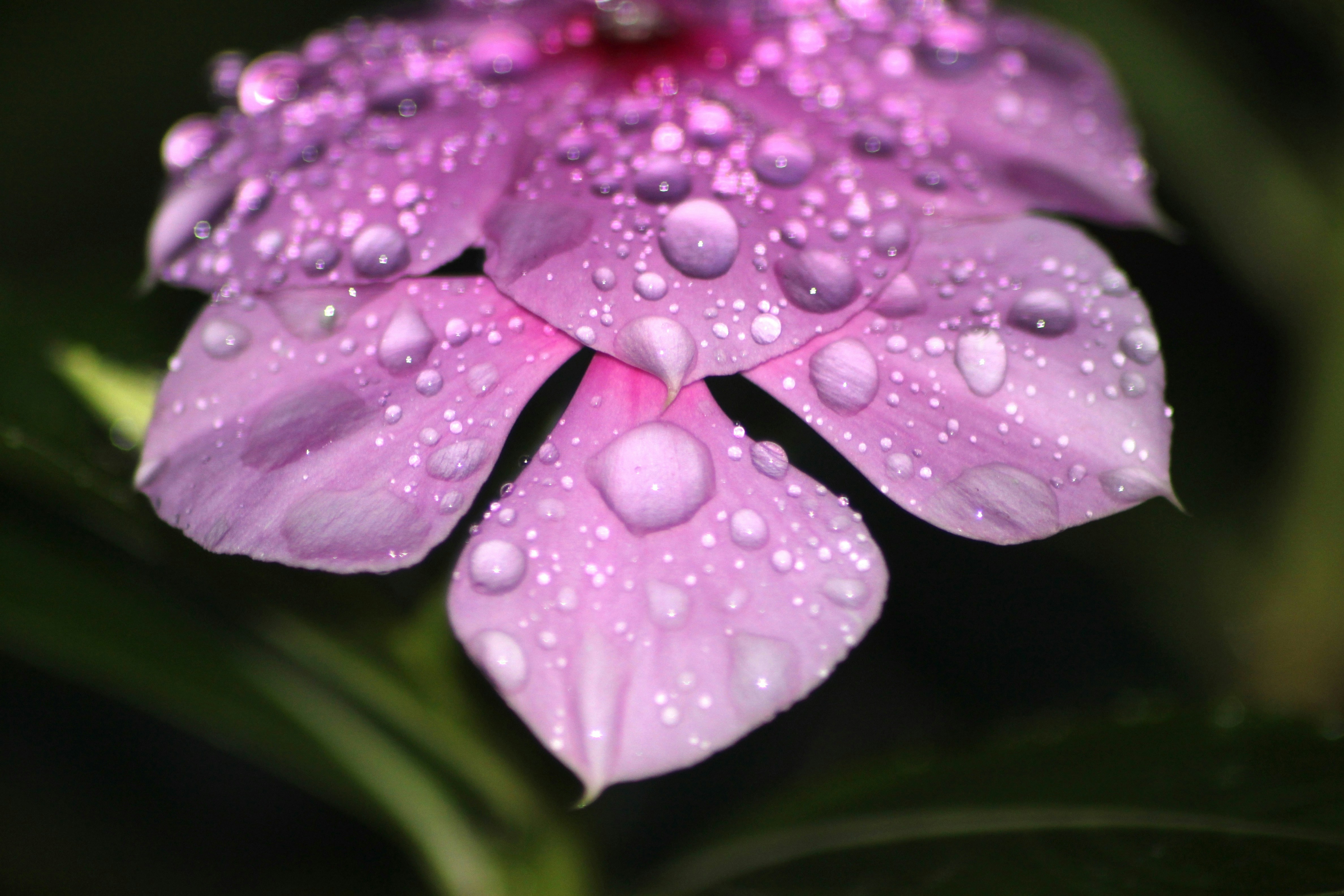 Photo by rahul_saraf