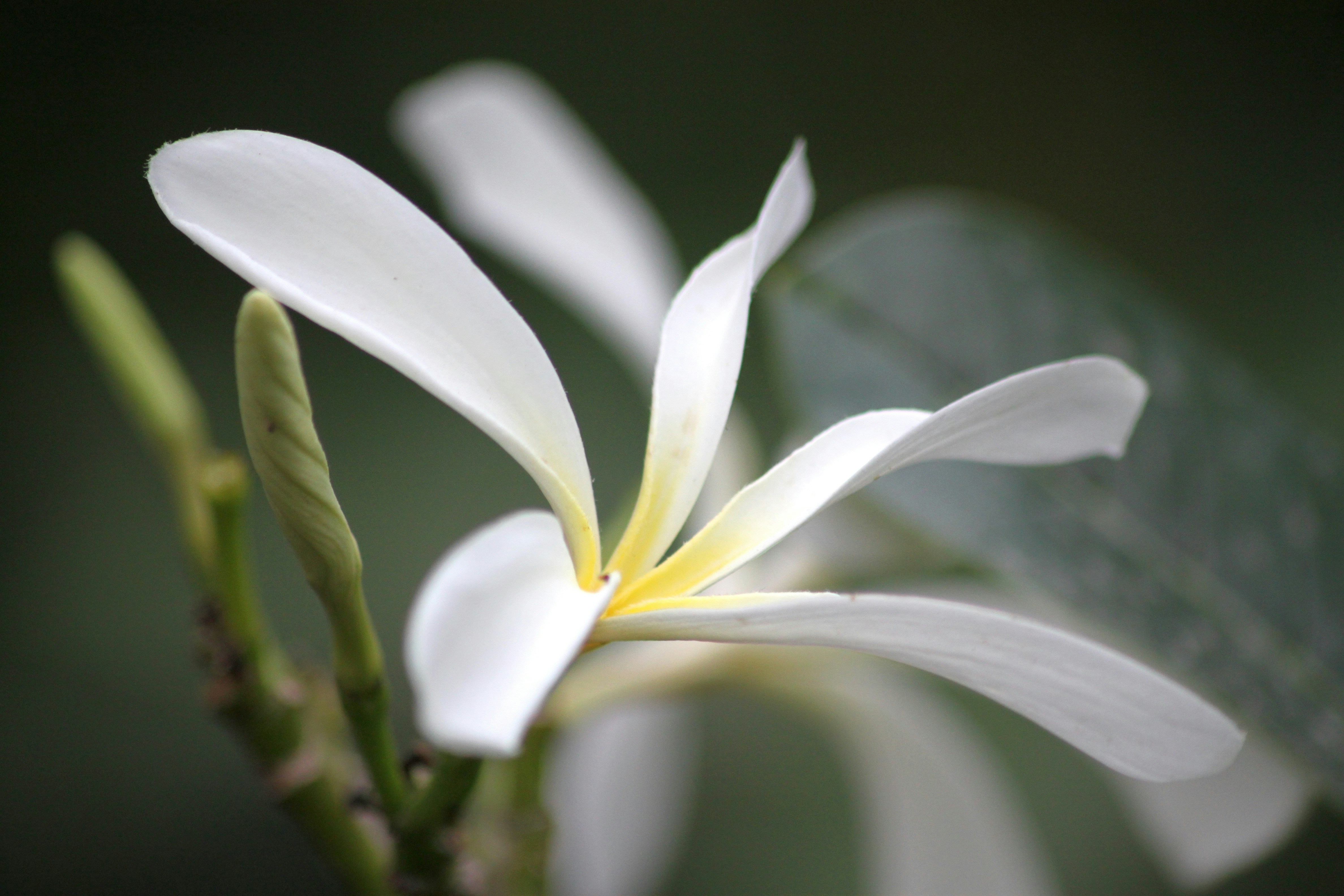 Photo by rahul_saraf