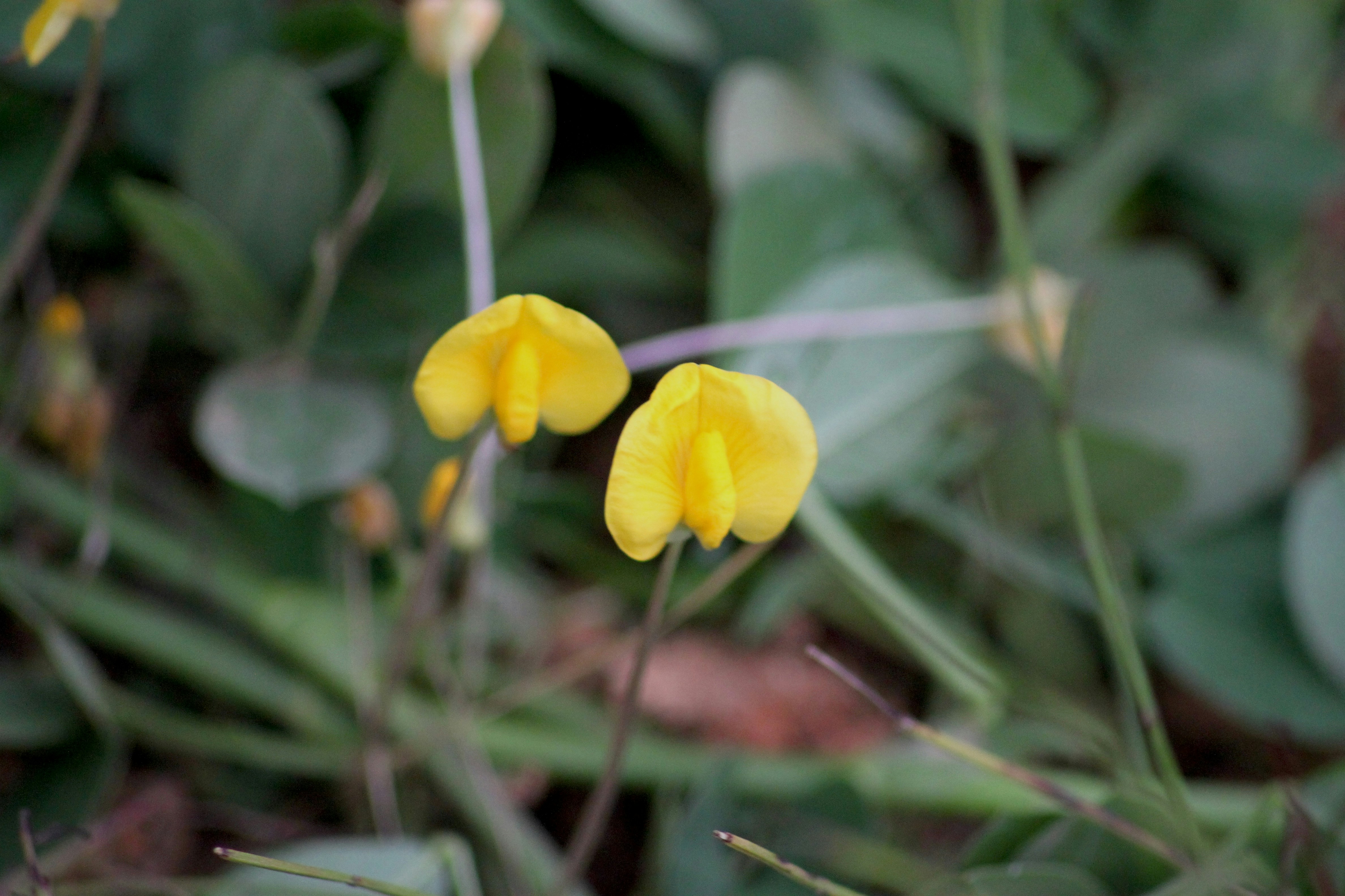 Photo by rahul_saraf