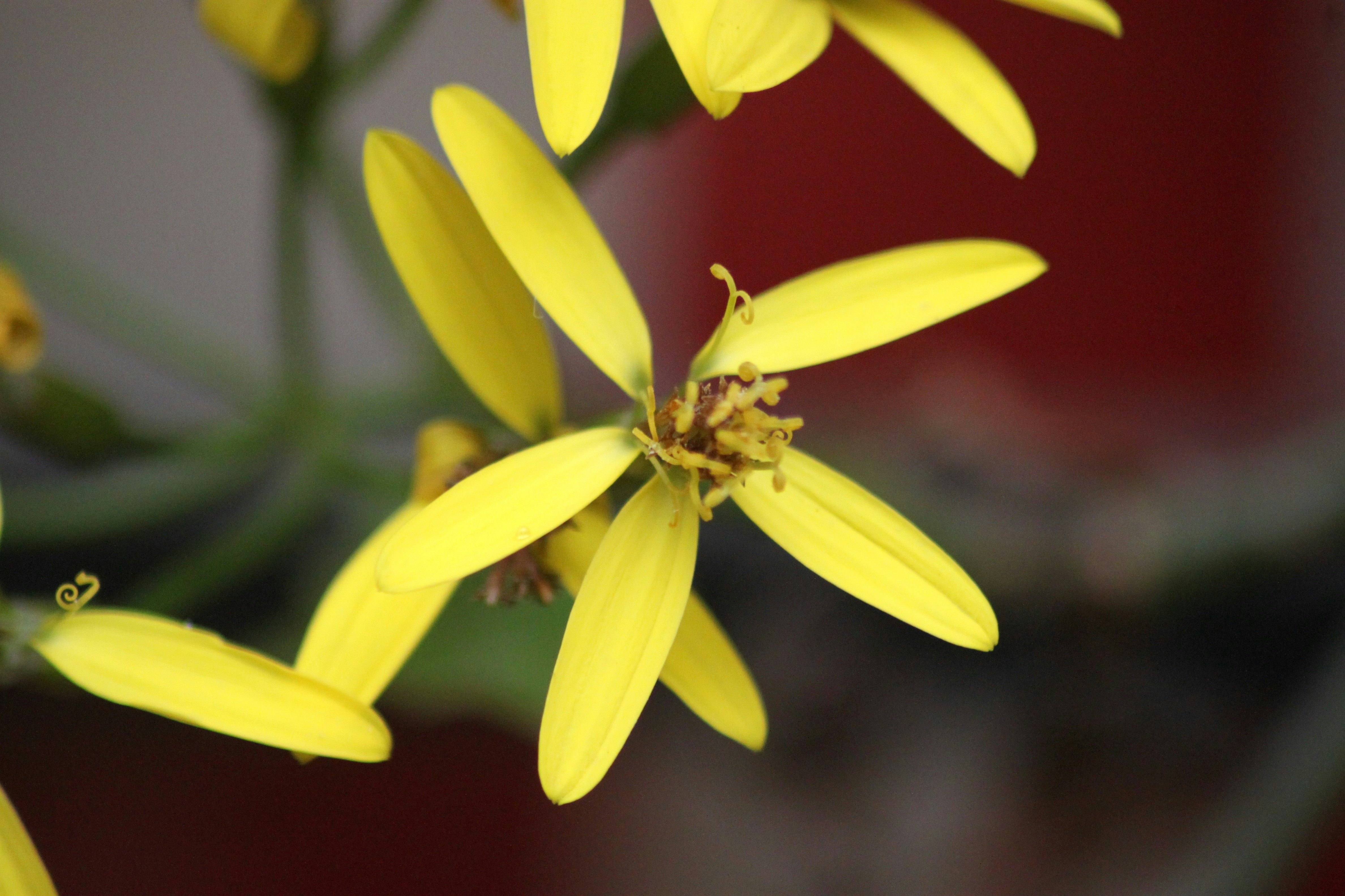 Photo by rahul_saraf