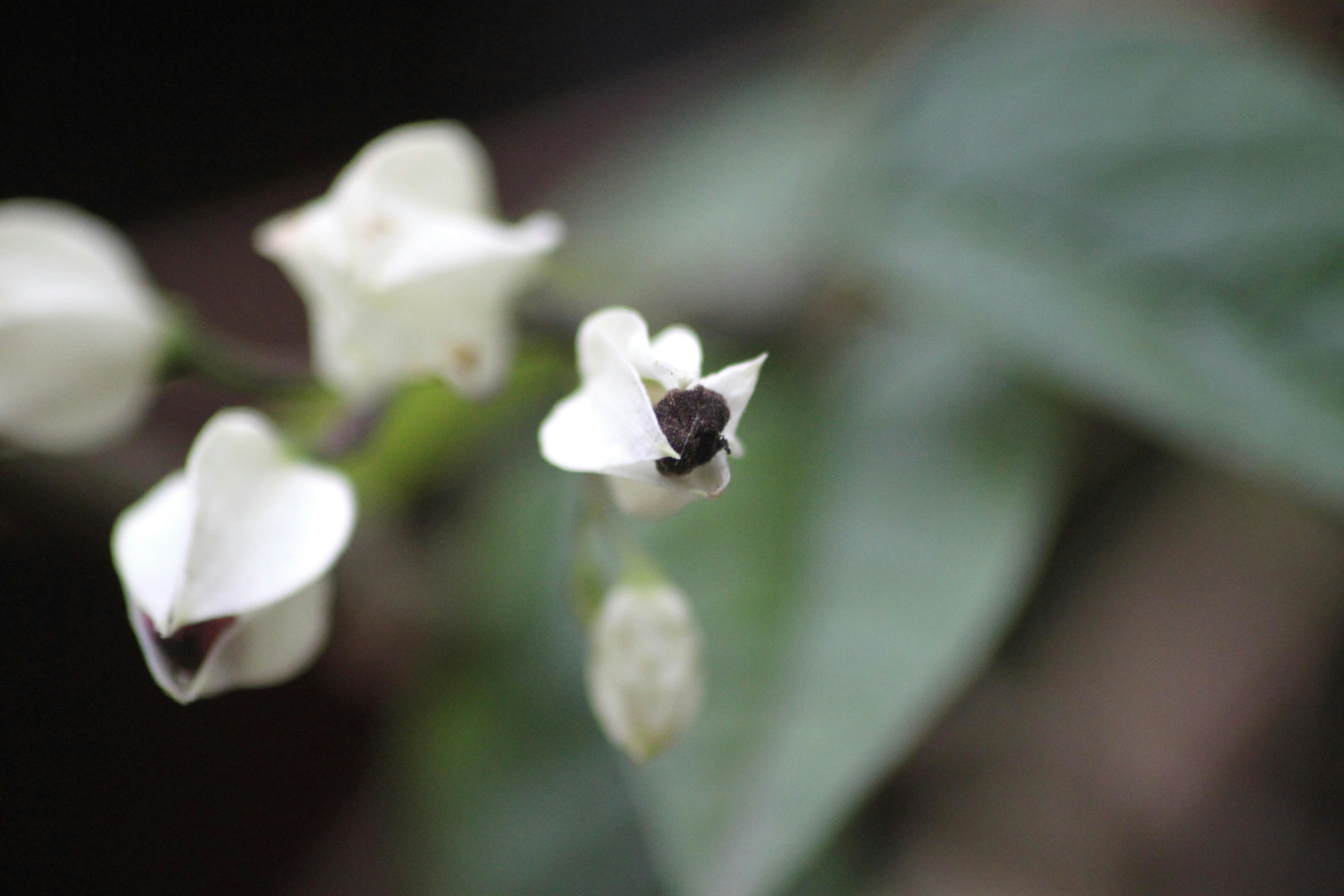 Photo by rahul_saraf