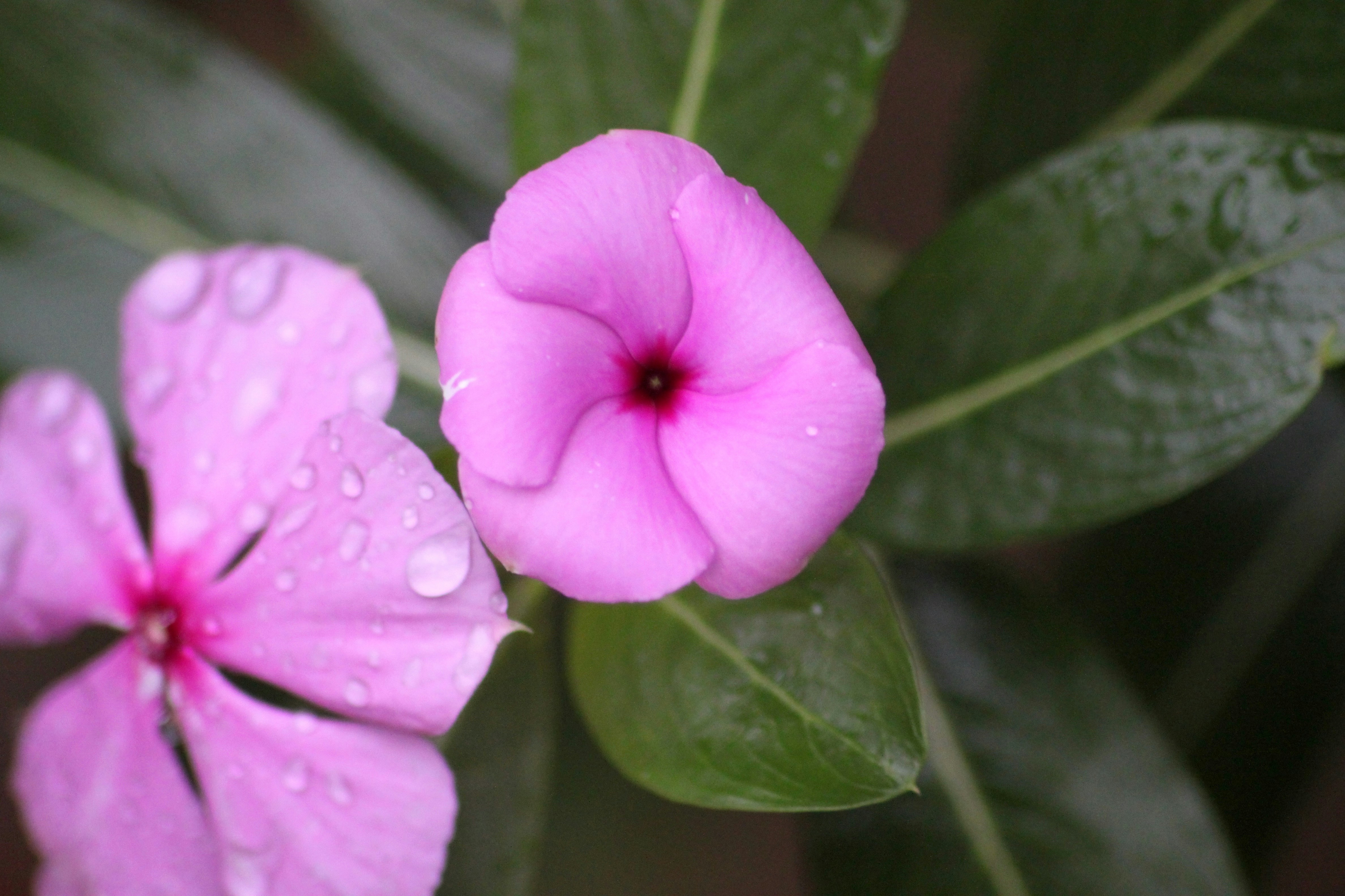 Photo by rahul_saraf