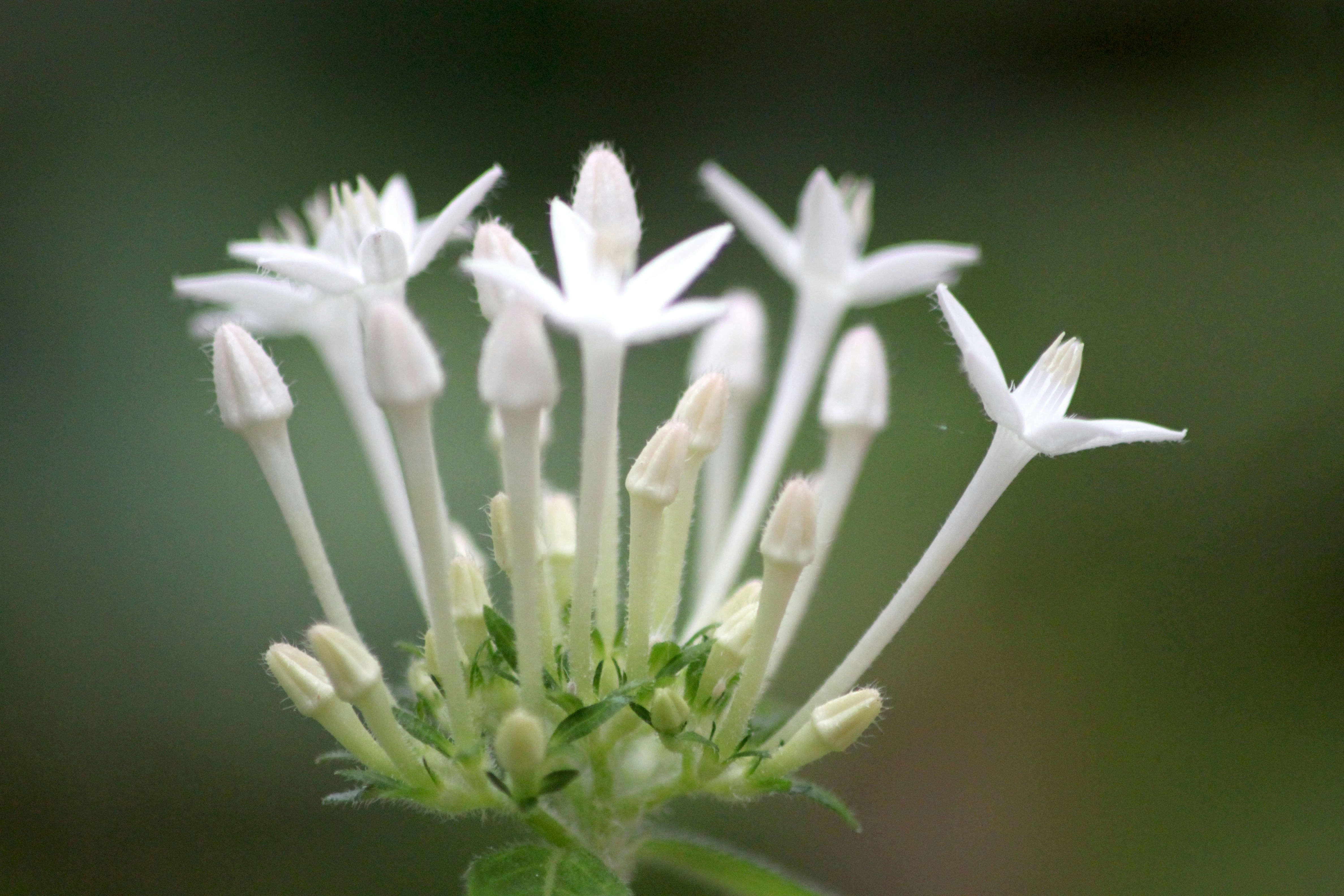 Photo by rahul_saraf