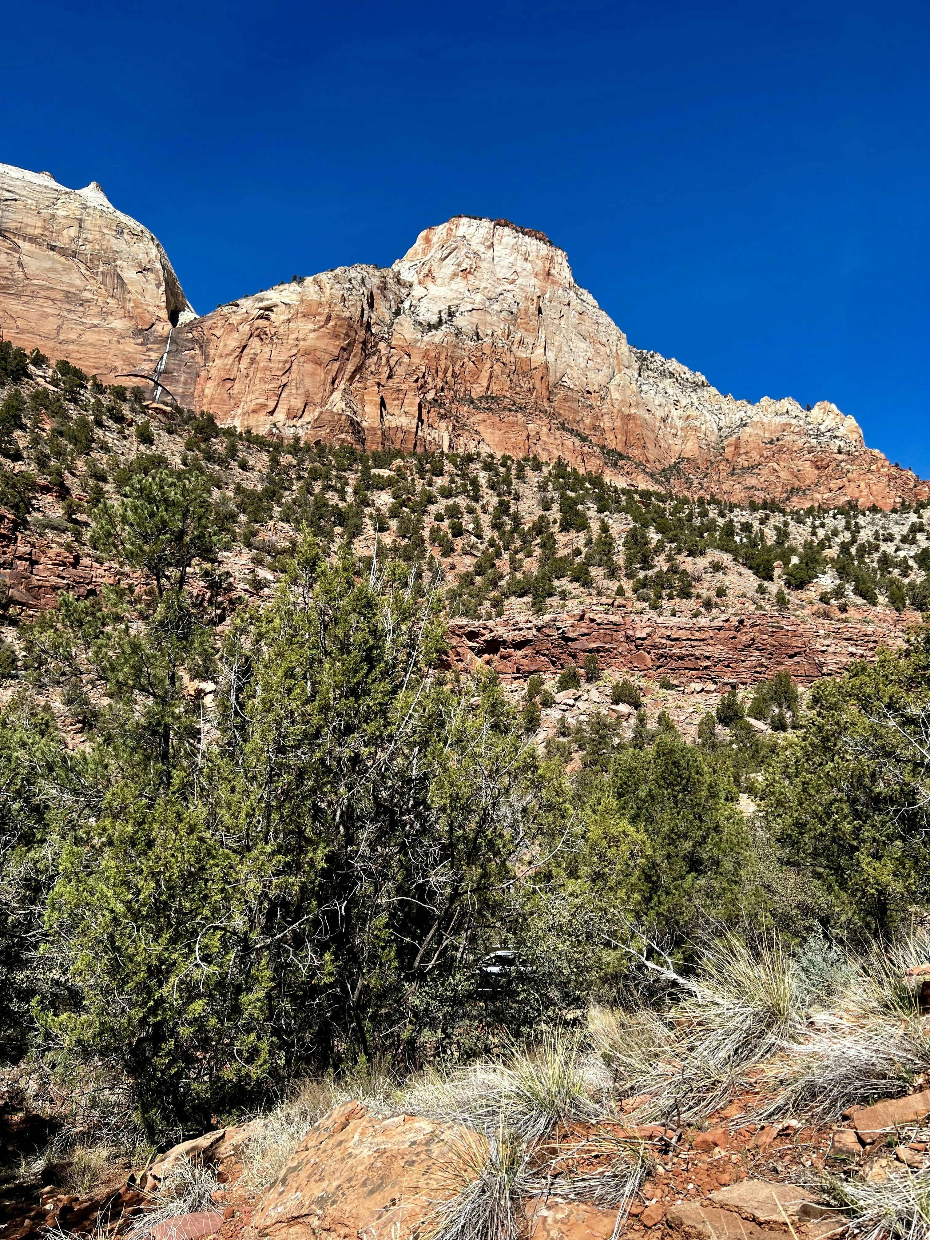 Photo by ashton_izzo