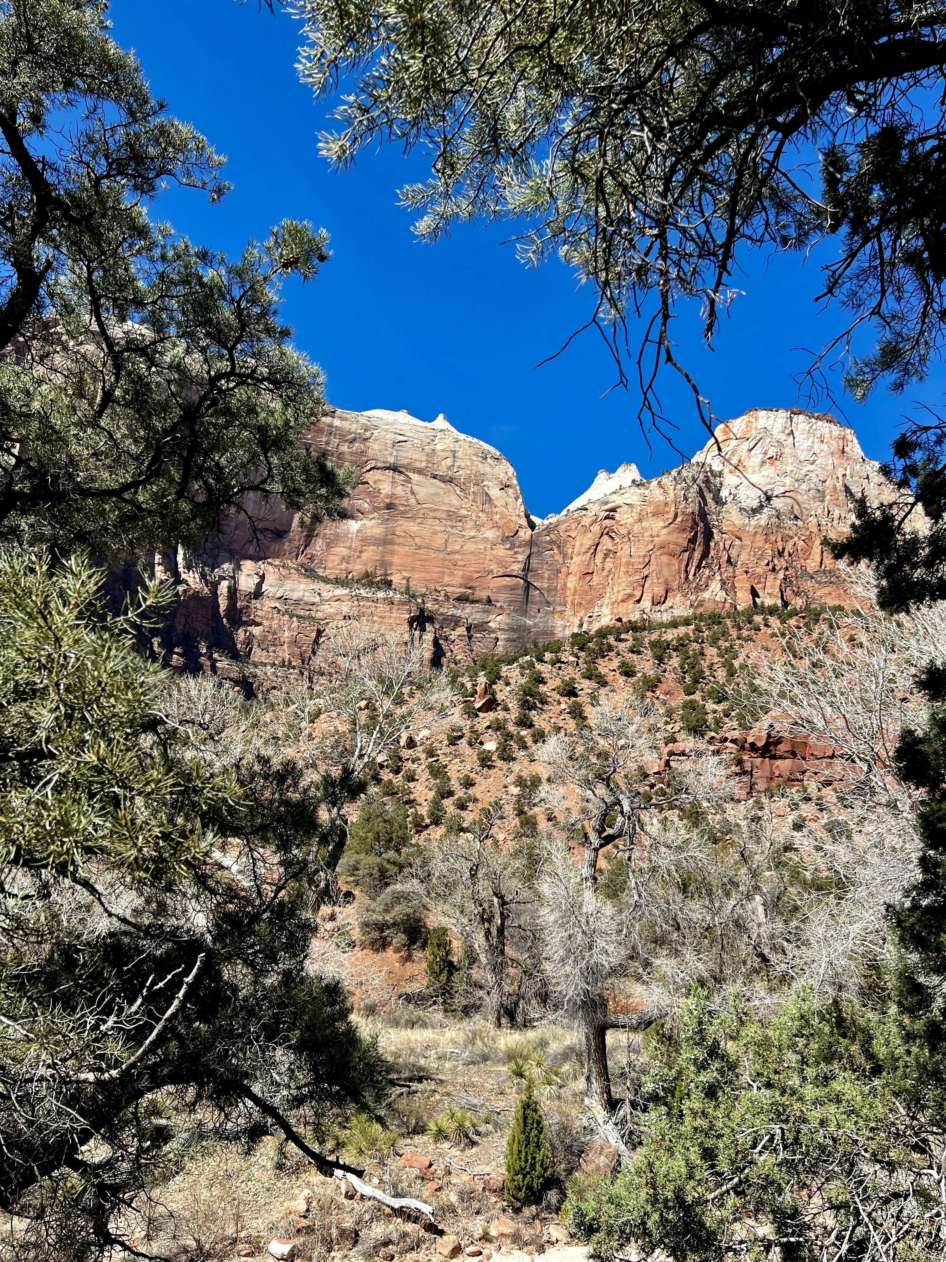 Photo by ashton_izzo