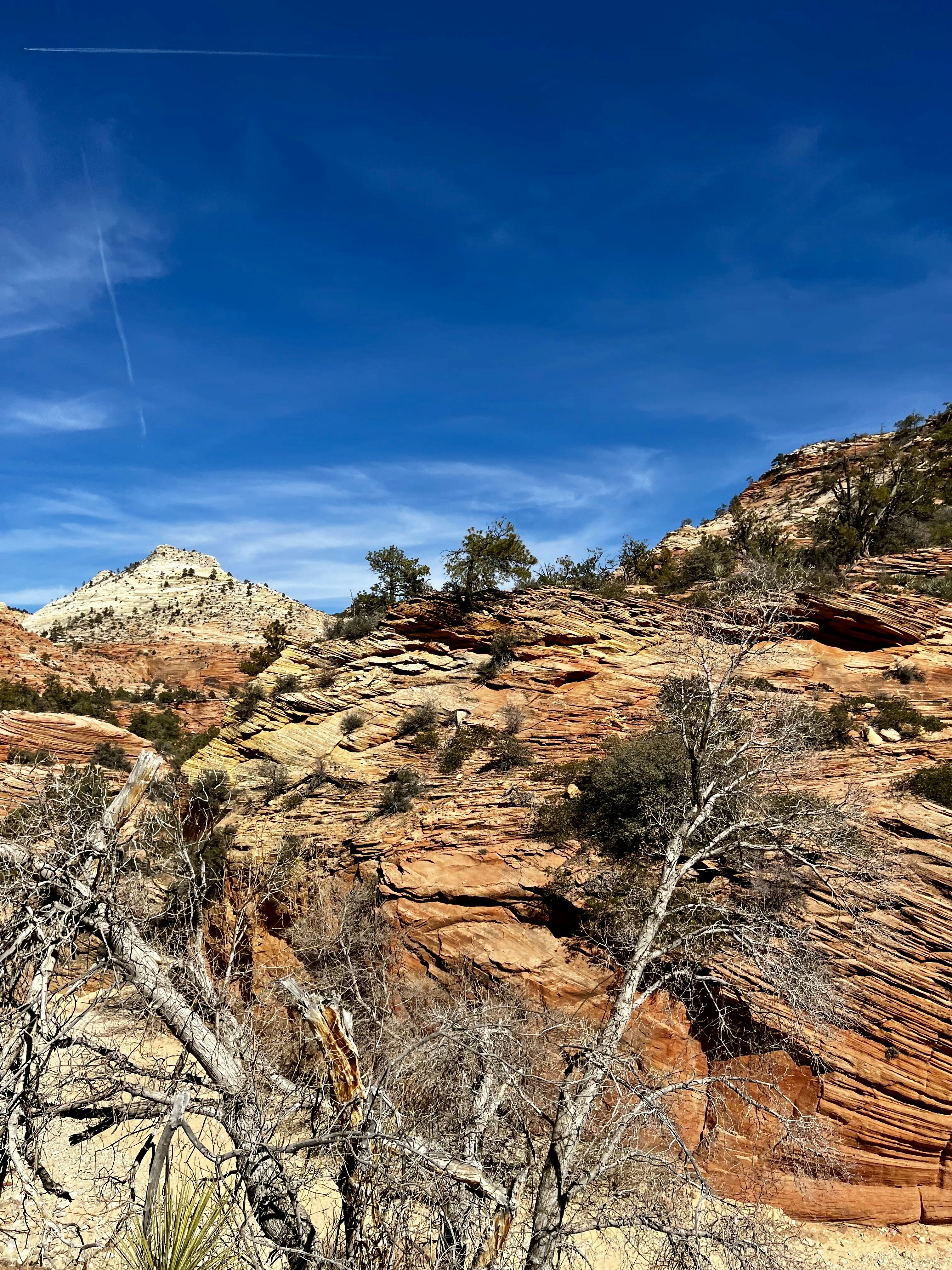 Photo by ashton_izzo