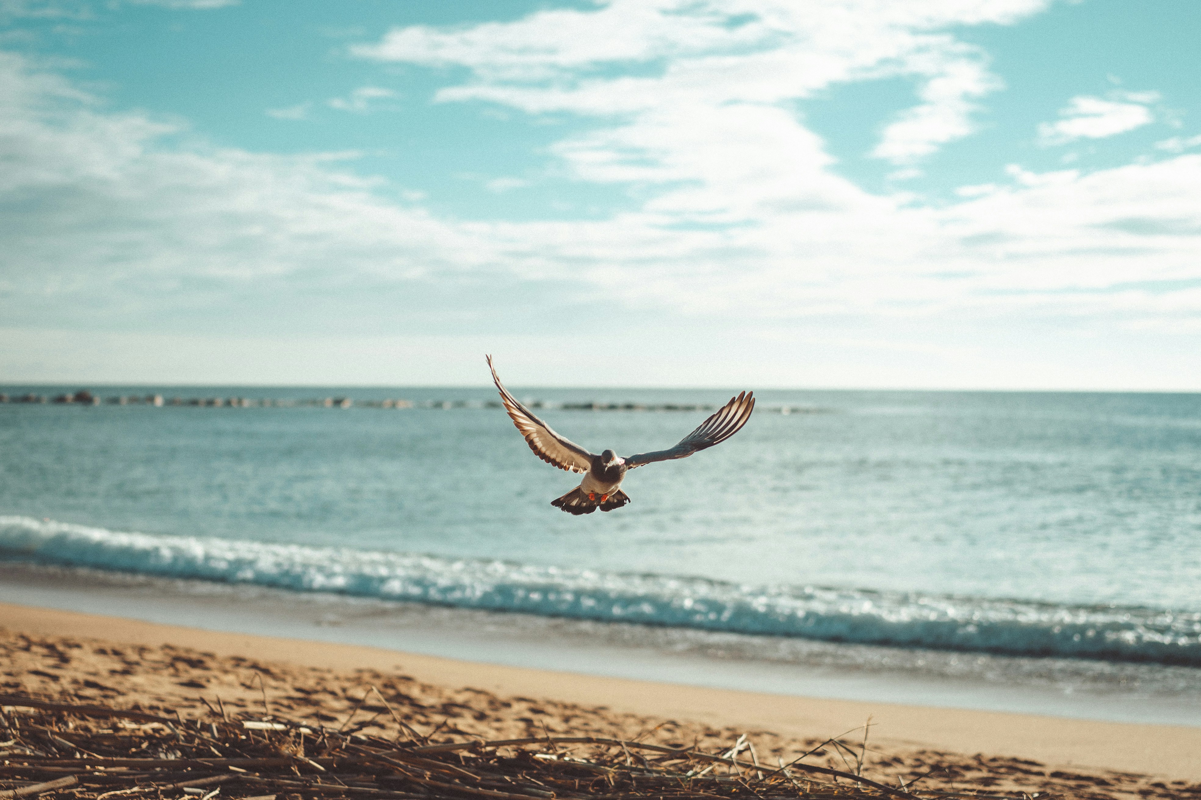 Photo by omarvellous14