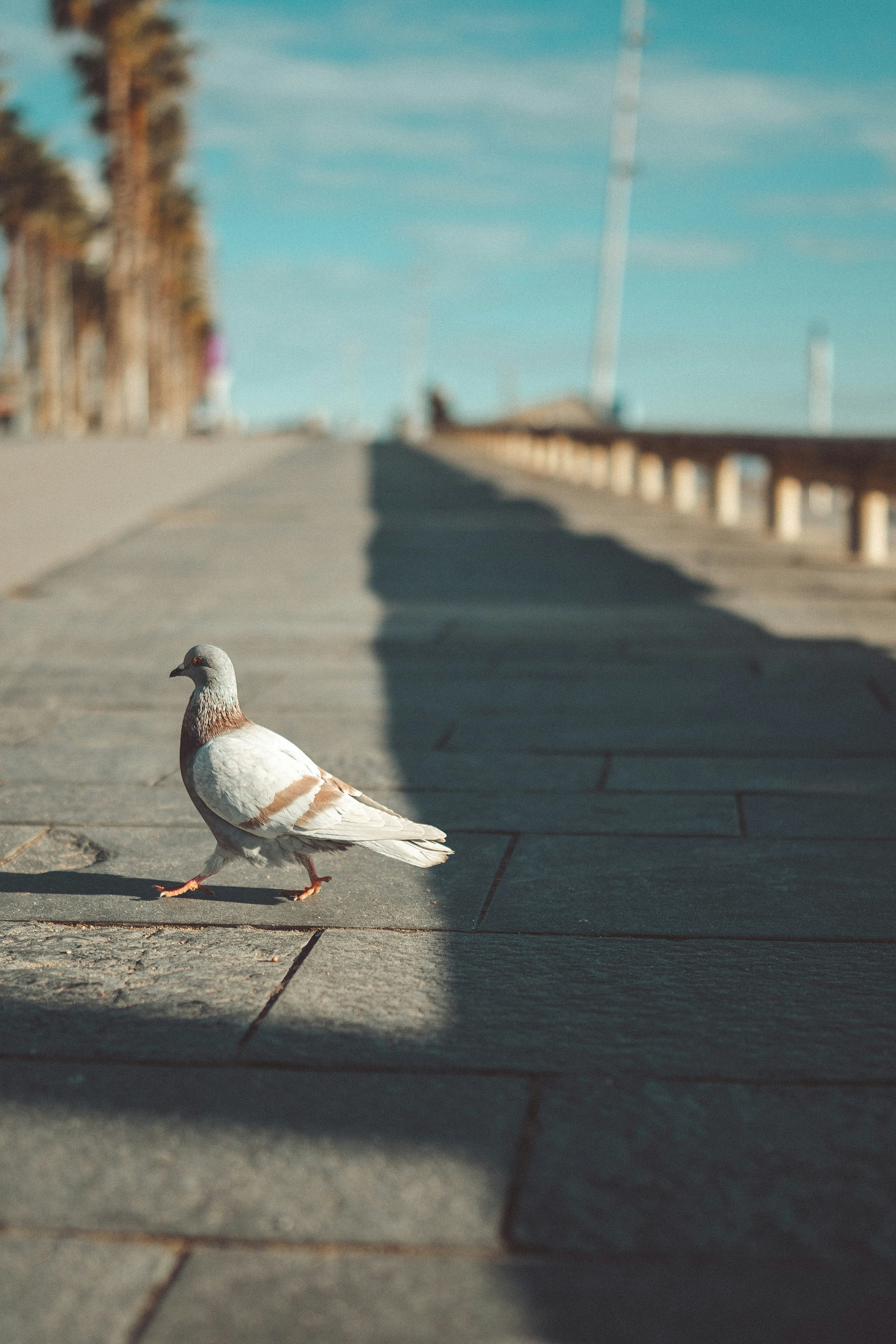 Photo by omarvellous14