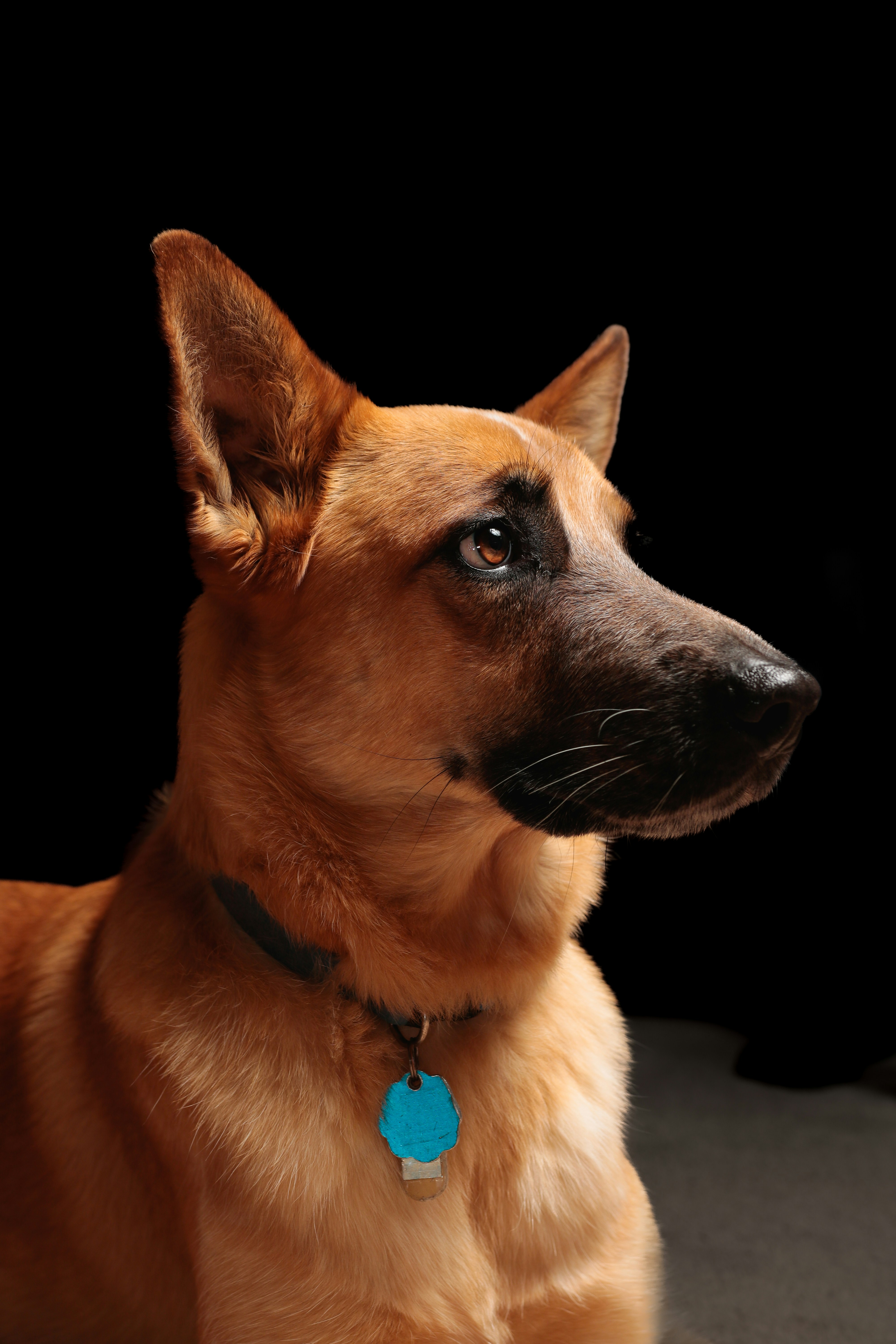 Photo by samdasherx13