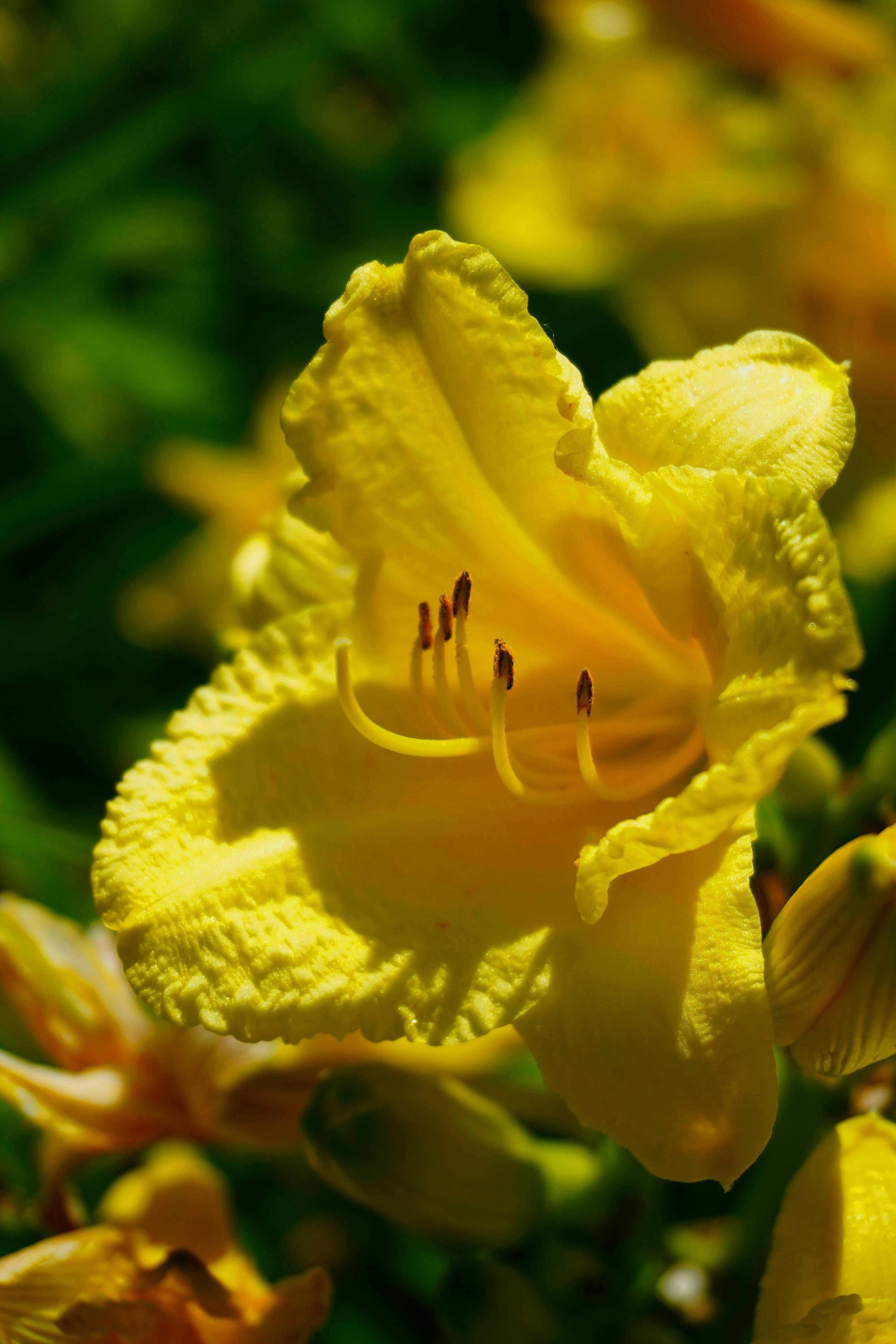 Photo by musarezadesigns