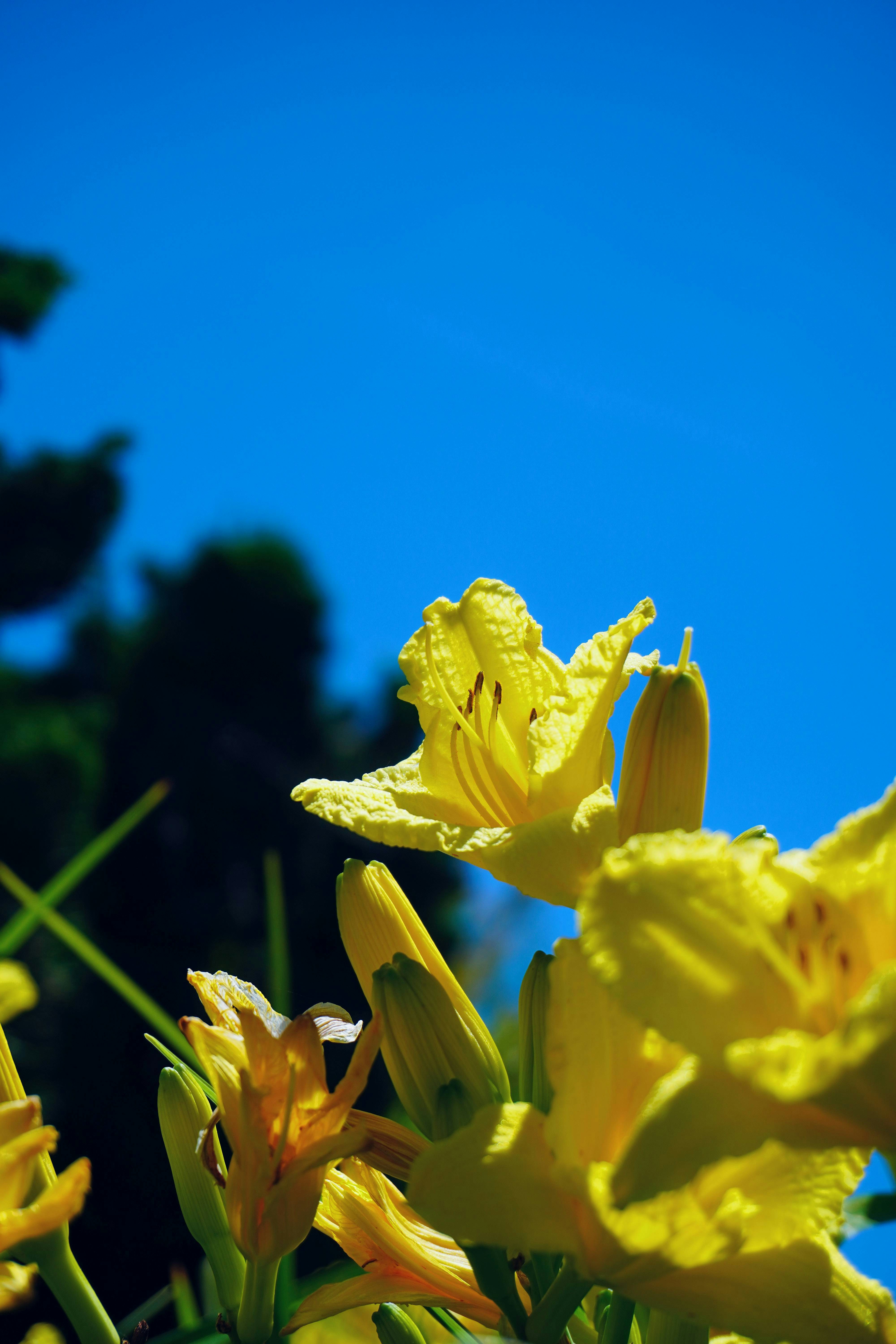 Photo by musarezadesigns