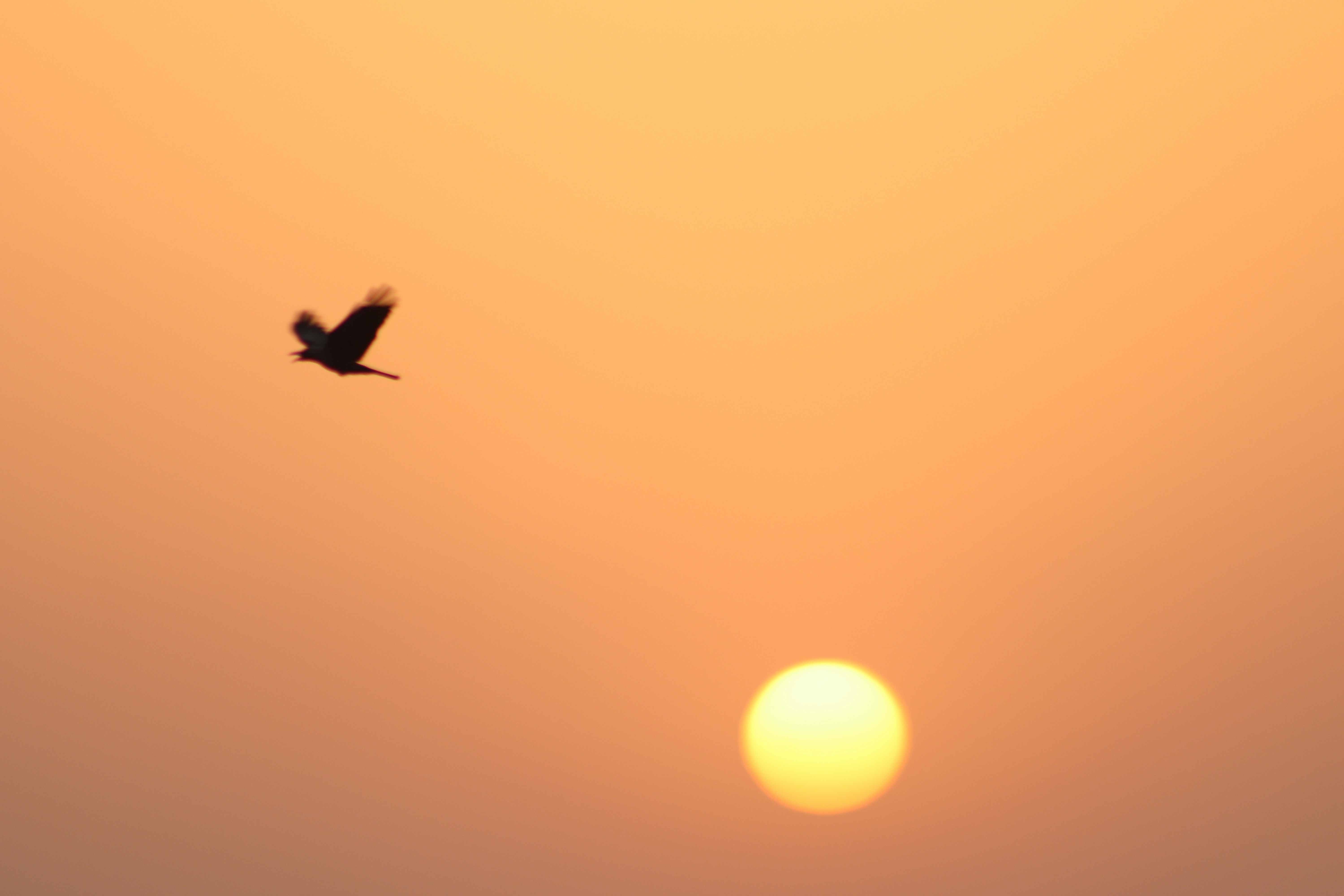 Photo by drphotographer152