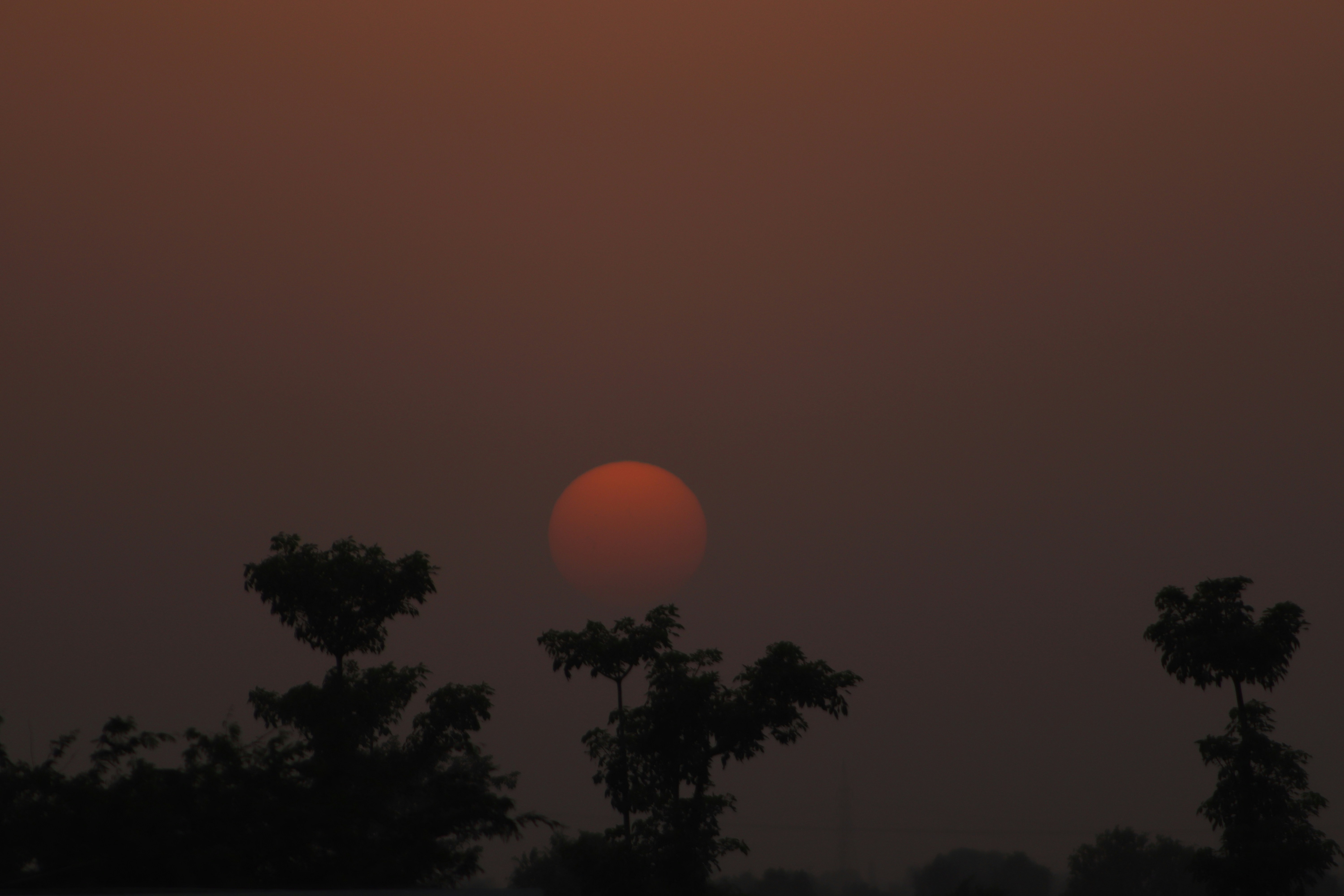 Photo by drphotographer152