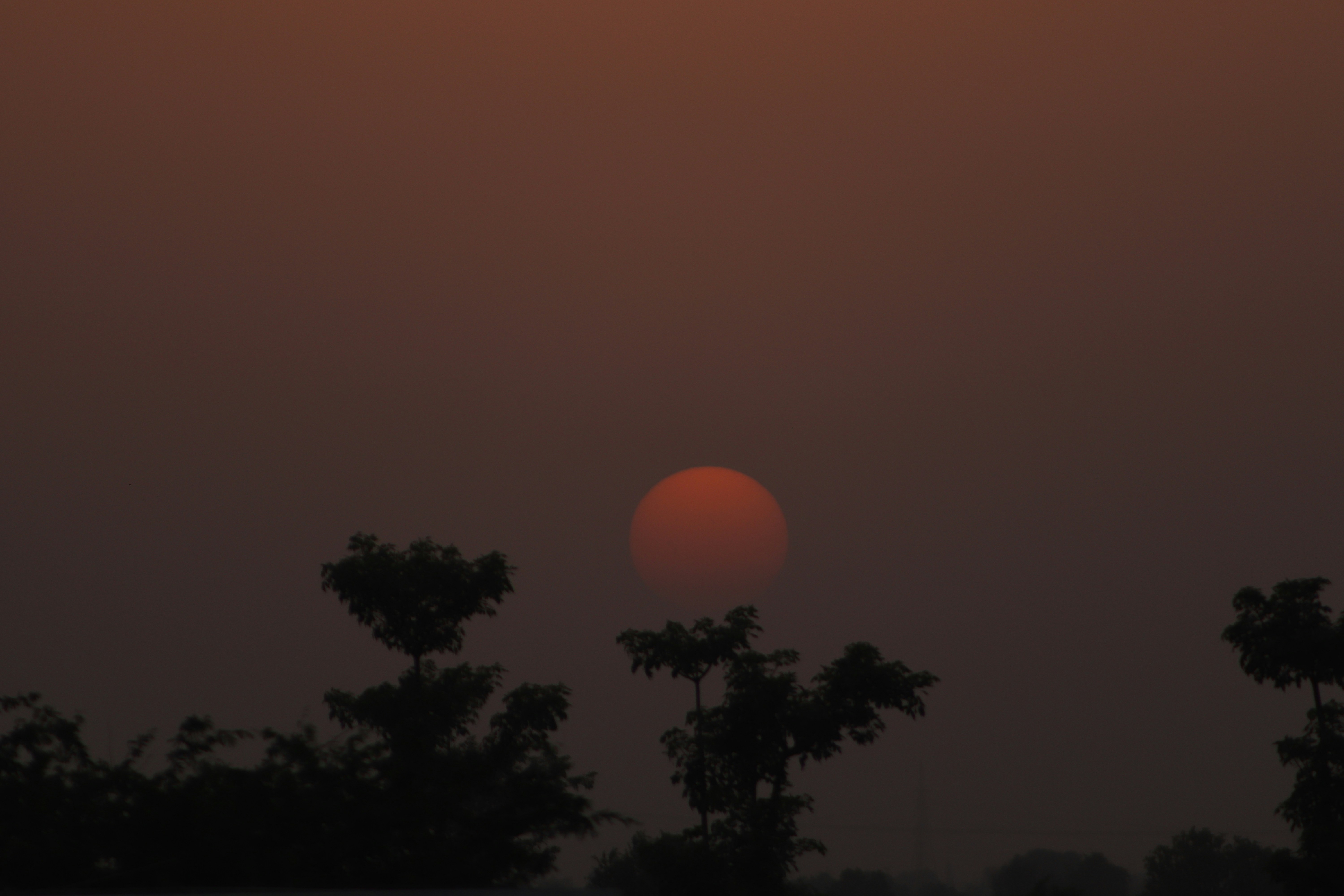 Photo by drphotographer152