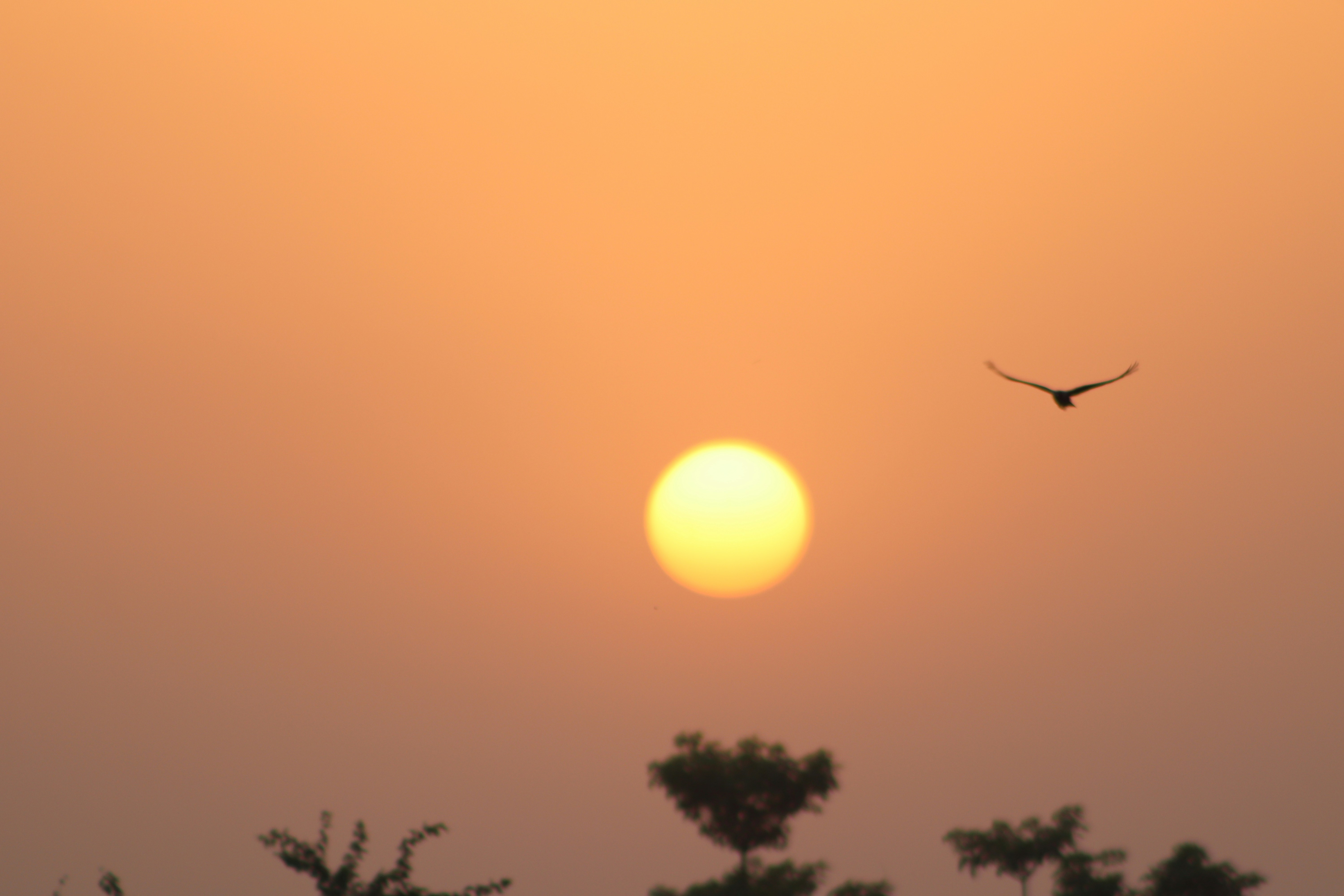 Photo by drphotographer152