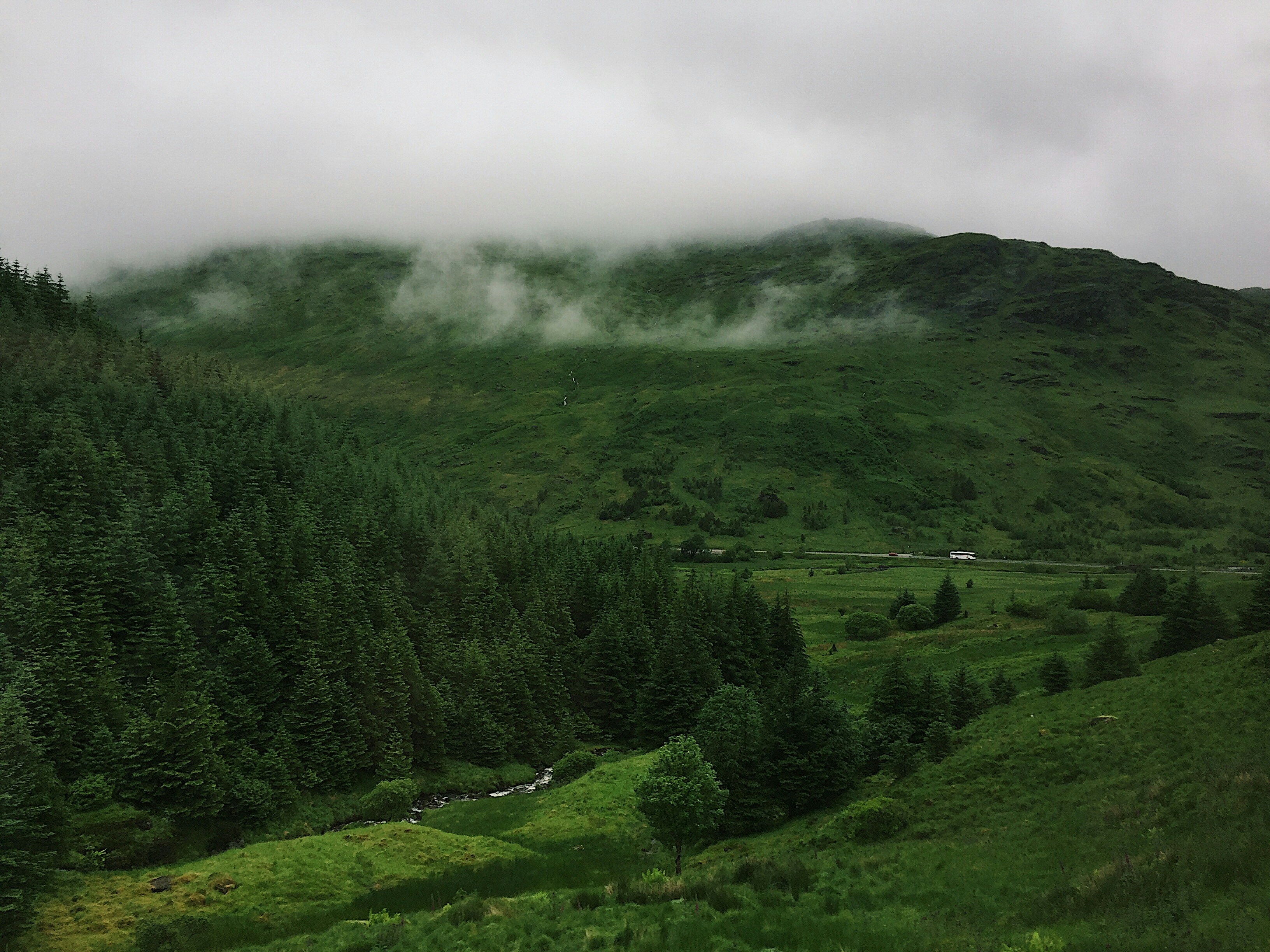 Photo by milasaislinn