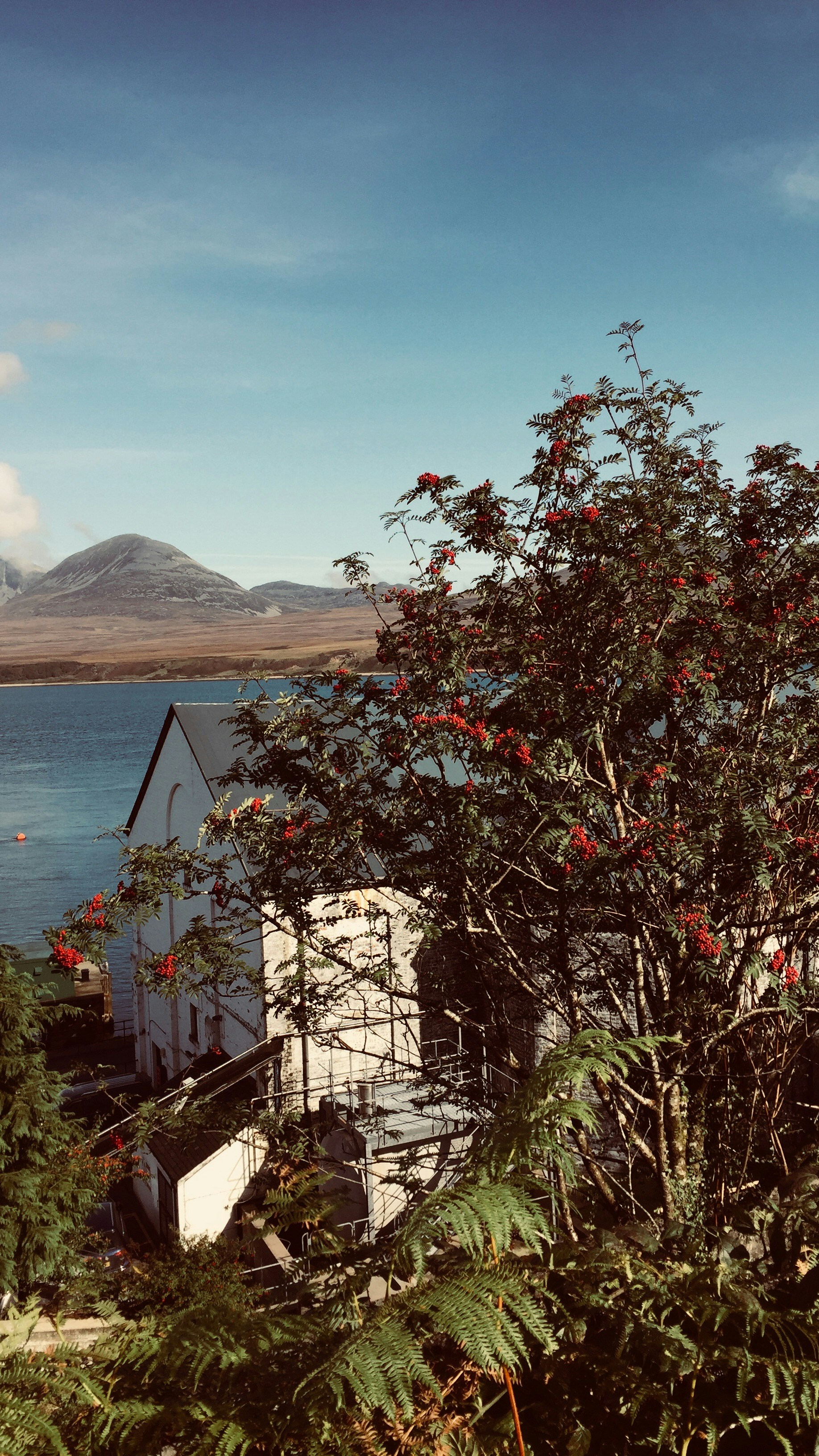 A house next to a body of water with mountains in the background
