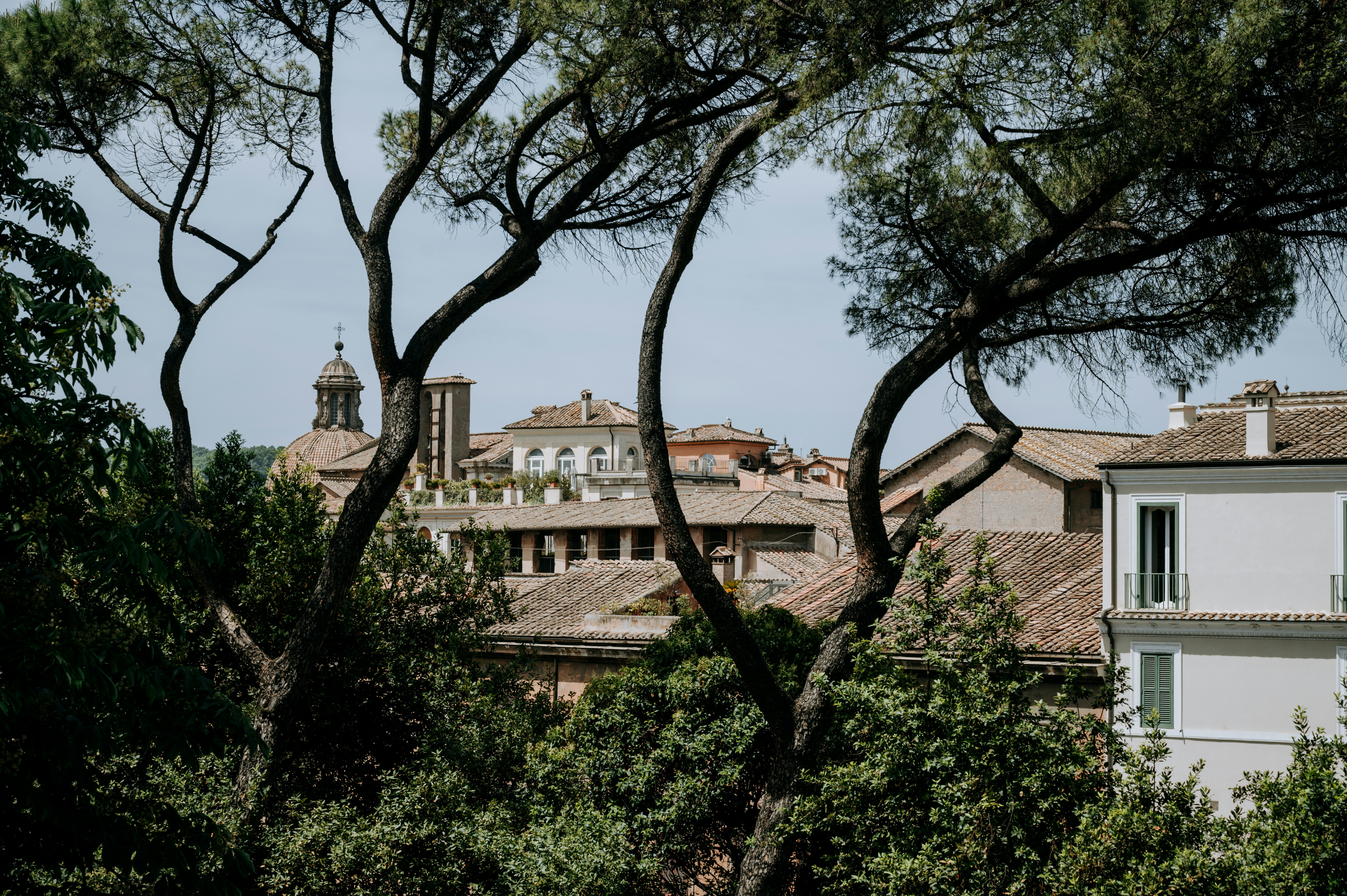 Photo by virginiaphotostories