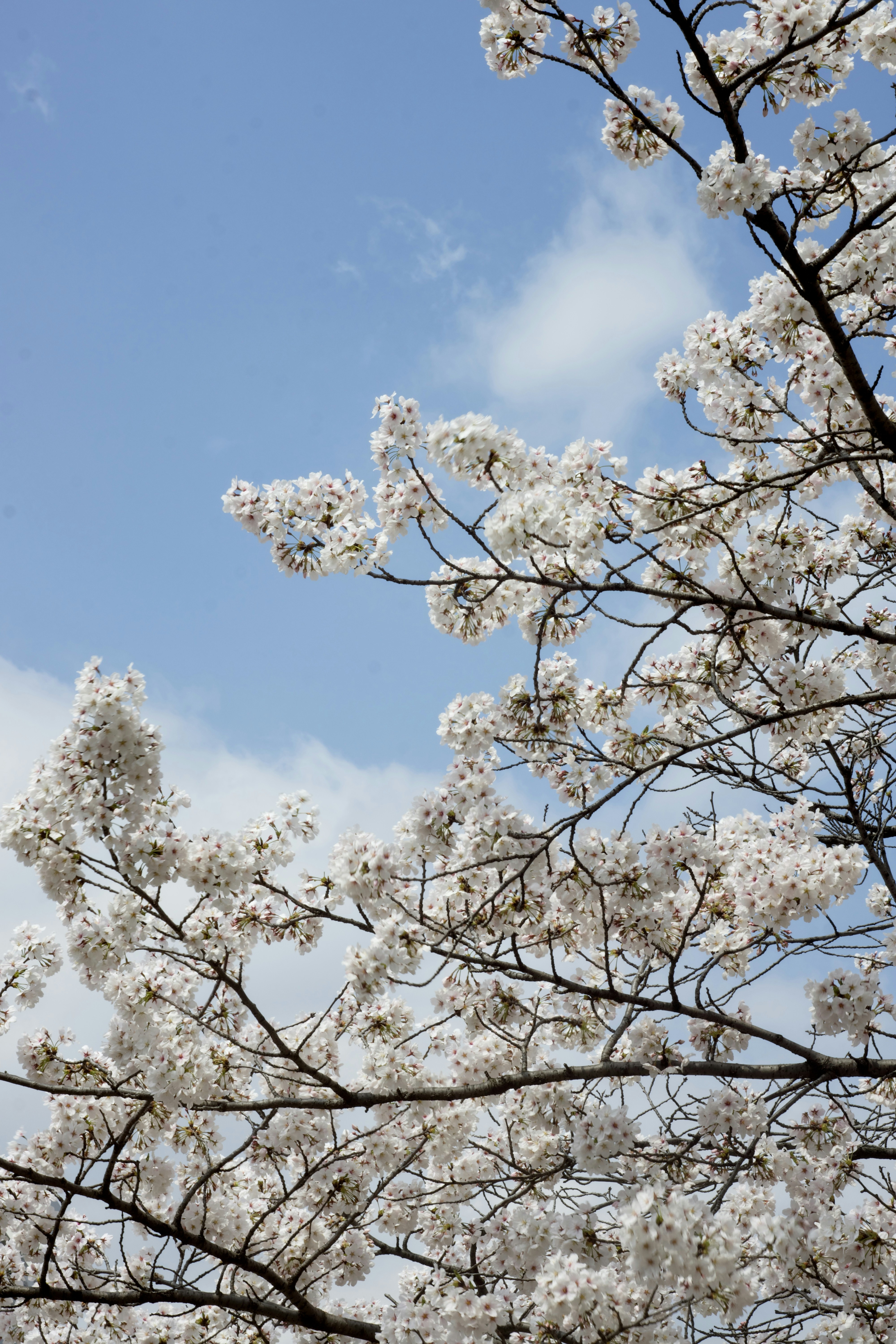 Photo by danilkinkin